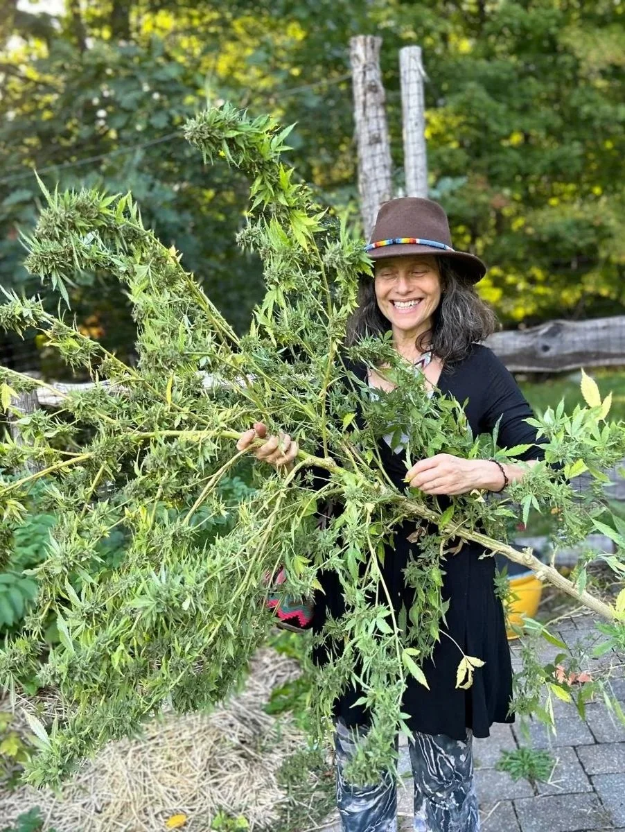 Growing at the N.E.S.T. Session 3 - Flowering &amp; Fine-Tuning: Bringing Your Plants to Full Expression