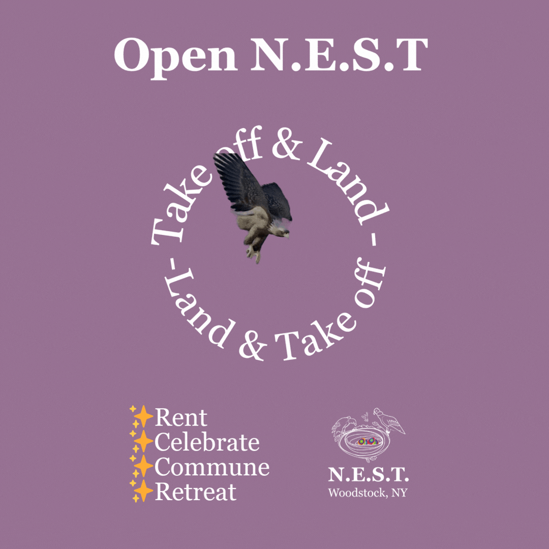 N.E.S.T. open 
