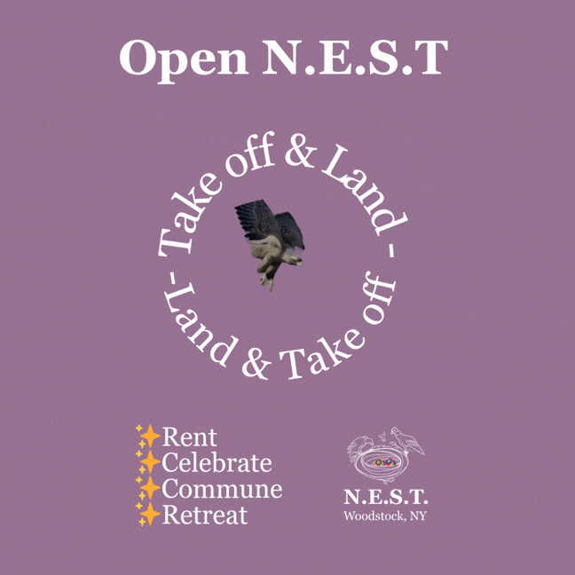 Open N.E.S.T. 