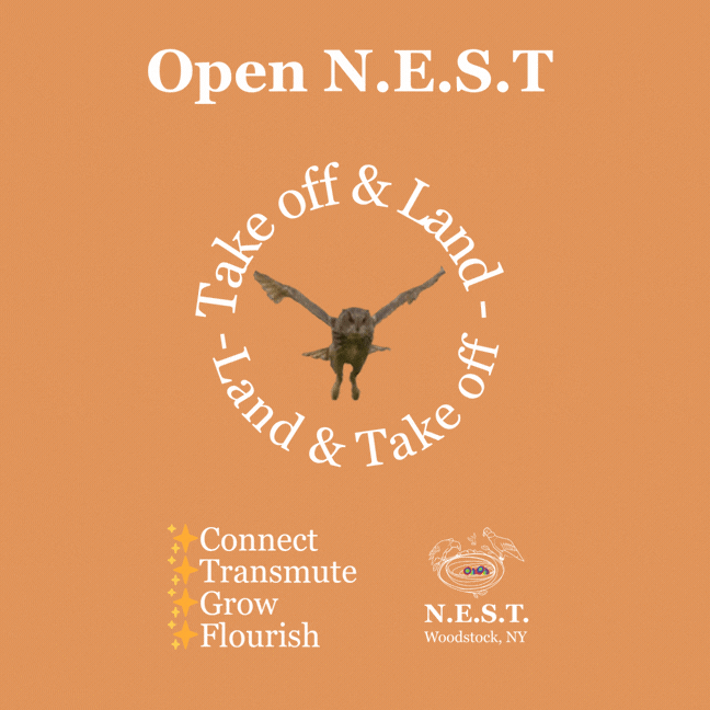 Open N.E.S.T. 