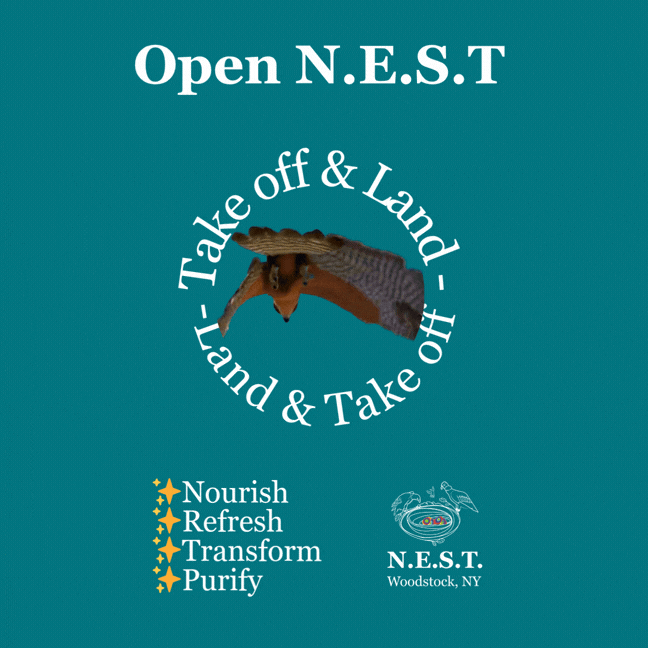 Open N.E.S.T. 