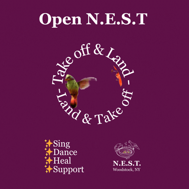 Open N.E.S.T. 