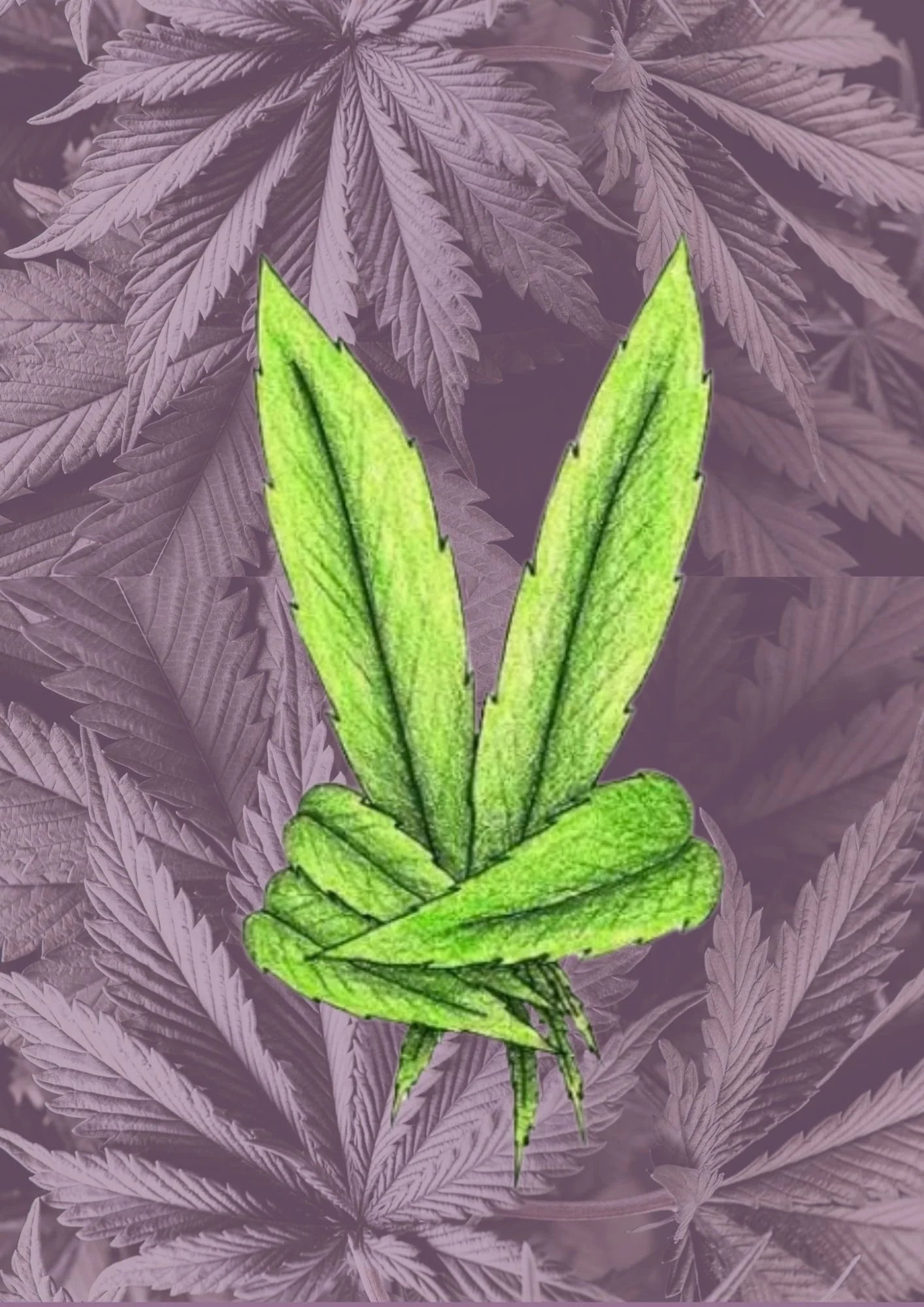 420 Evening Cannabis Ritual & Celebration with Phil Farber