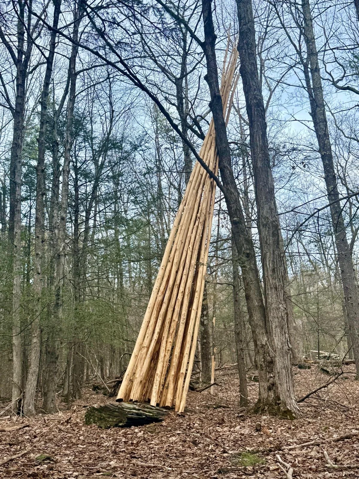 WhatsApp Image 2026-03-31 at 15.51.47.jpeg