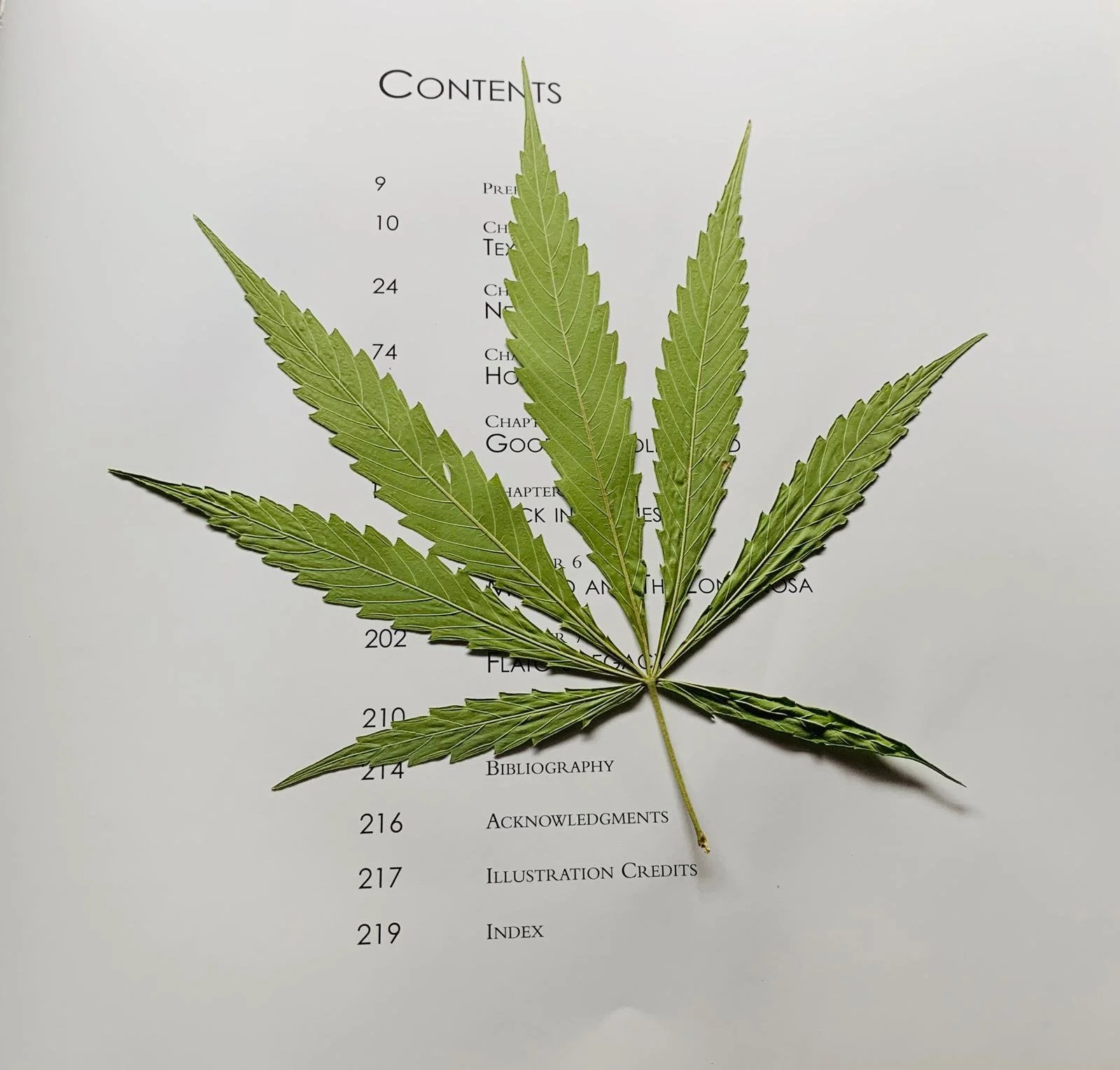 WhatsApp Image 2026-04-06 at 12.17.12.jpeg