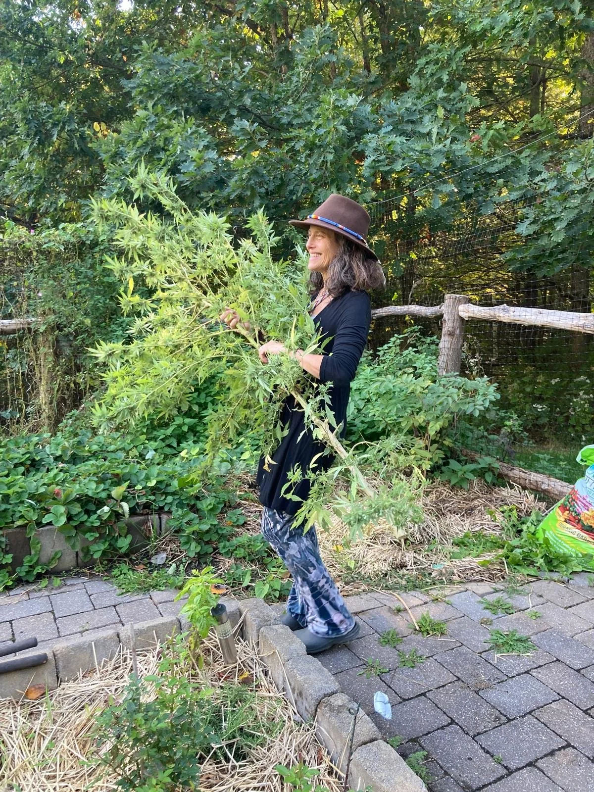 WhatsApp Image 2025-03-27 at 09.11.28.jpeg