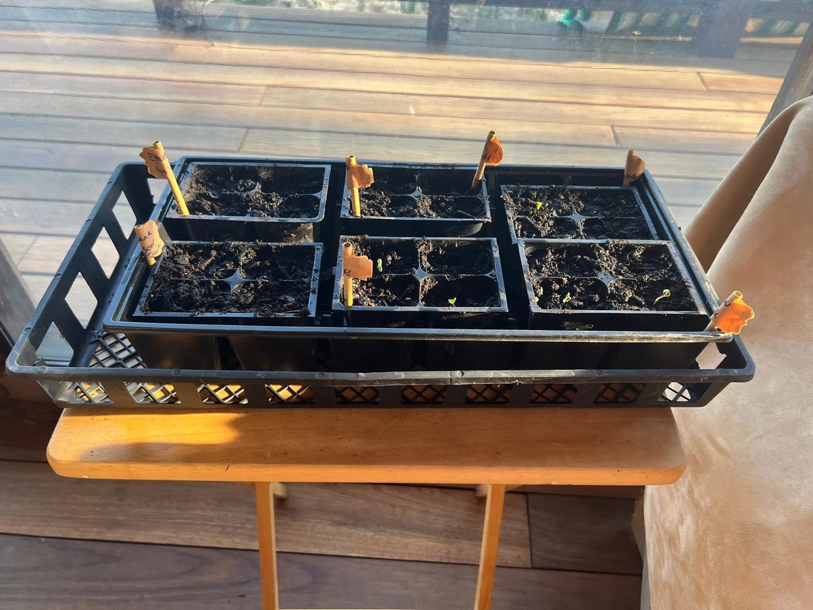 WhatsApp Image 2026-04-06 at 12.16.59 (2).jpeg