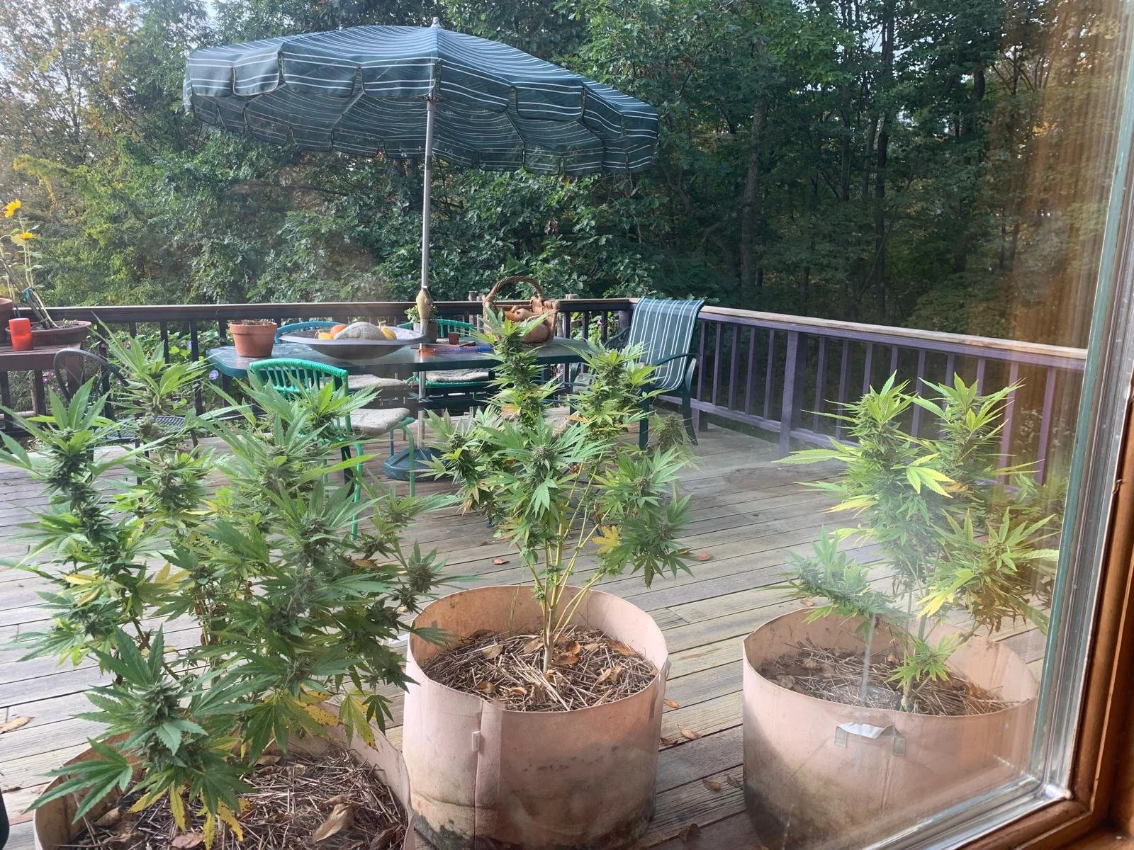 WhatsApp Image 2026-04-06 at 12.16.59 (1).jpeg