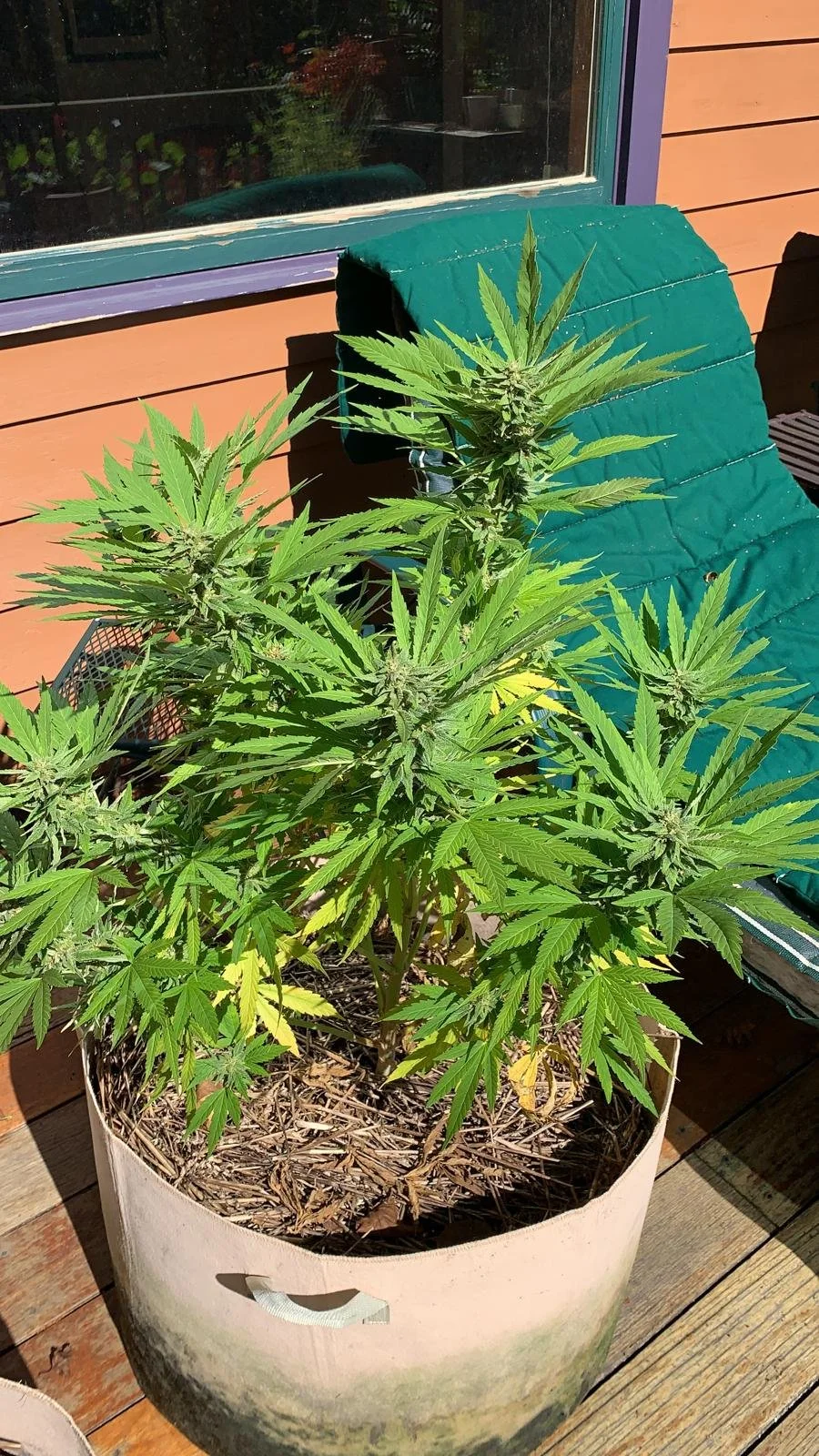 WhatsApp Image 2026-04-06 at 12.16.59.jpeg