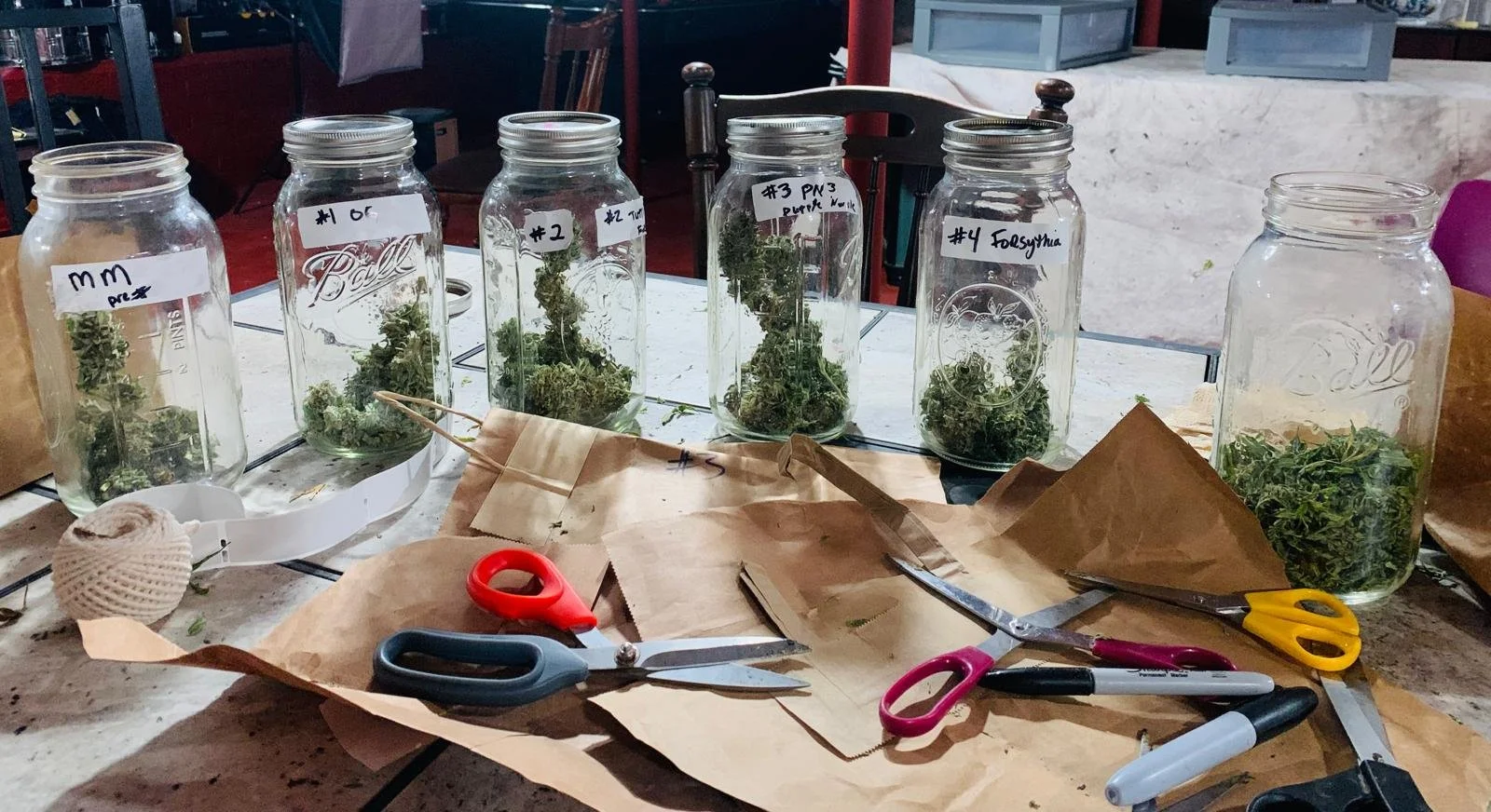 WhatsApp Image 2026-04-06 at 12.16.59 (3).jpeg