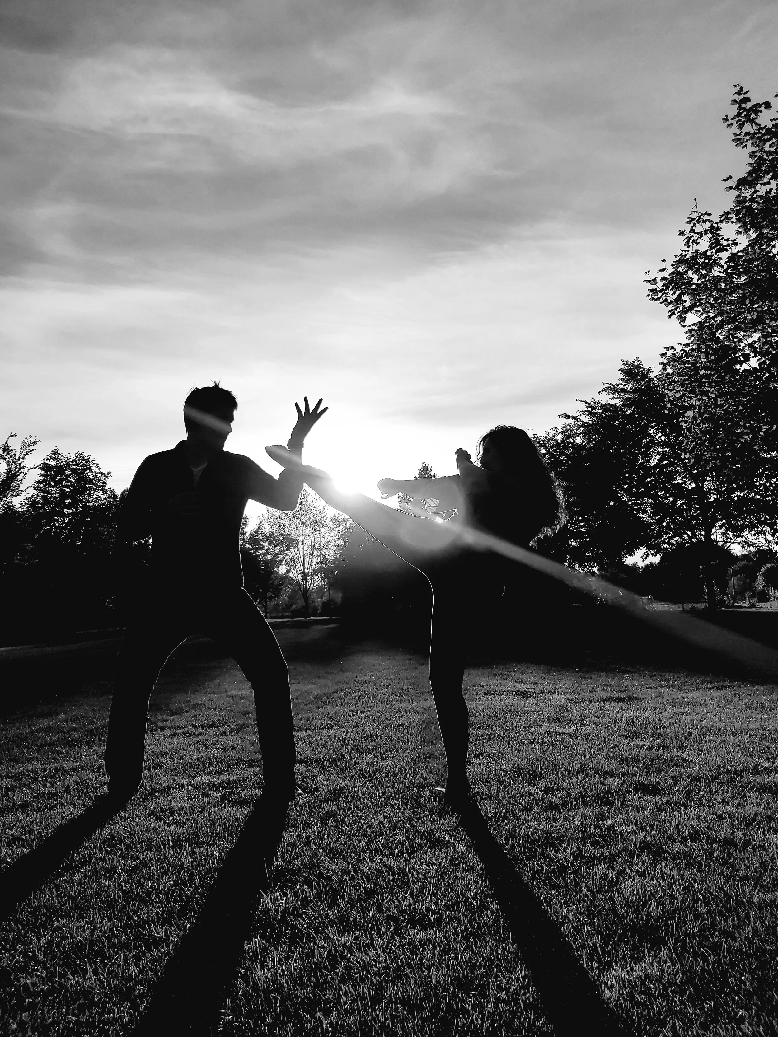 Armed Self-Defense Introductory Course