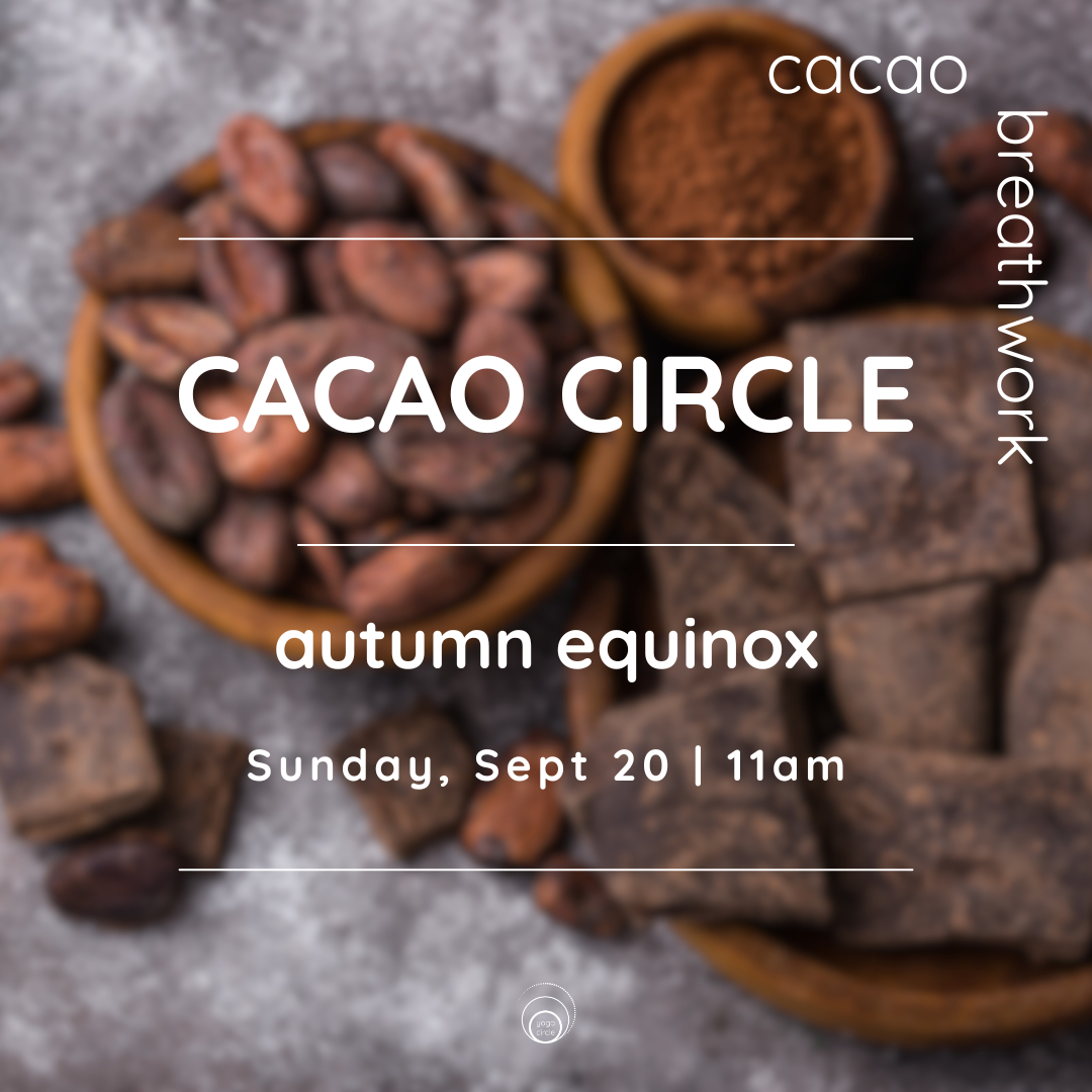 AM_Cacao (2).png