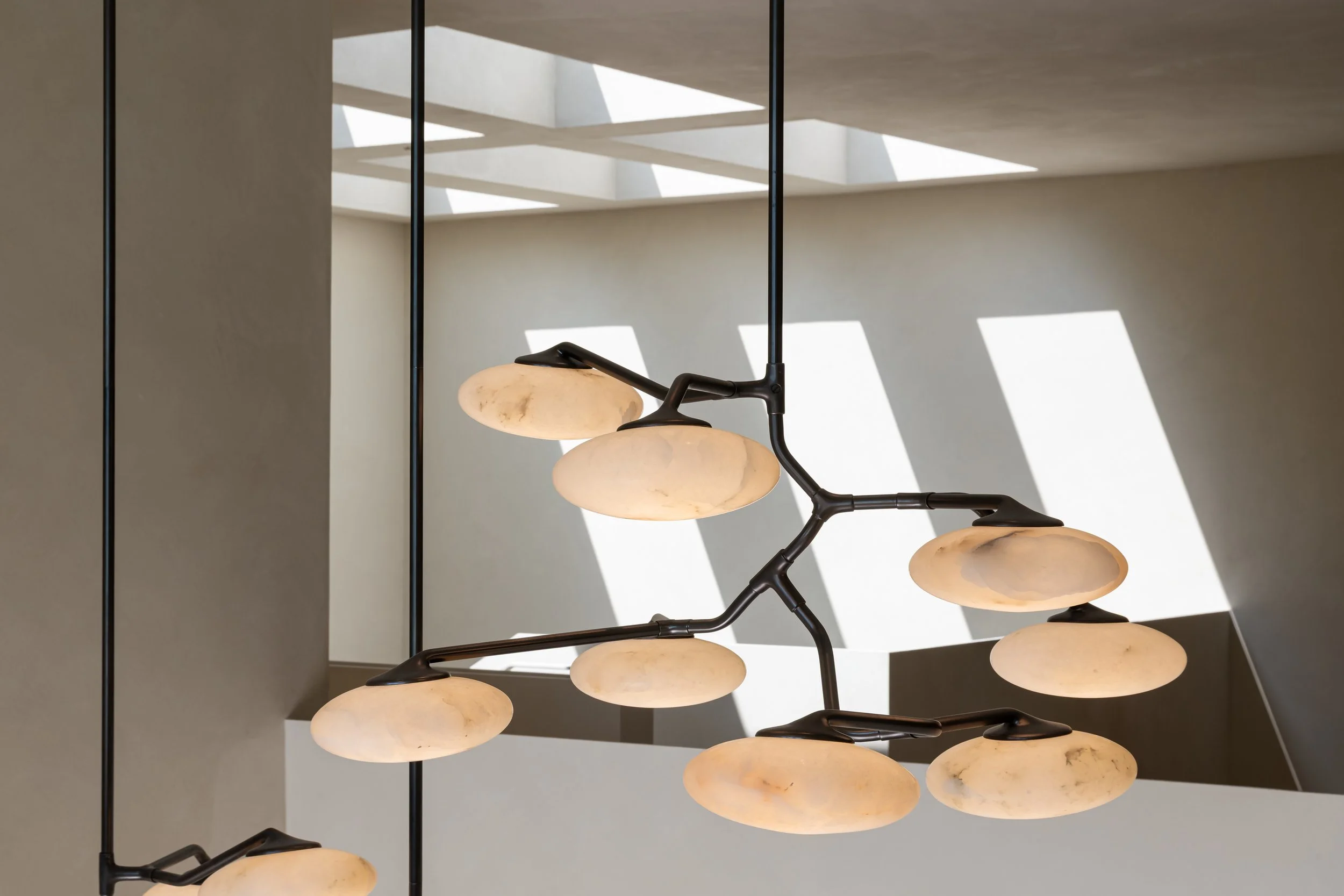 24172Lupin_HiRes (67 of 116).jpg