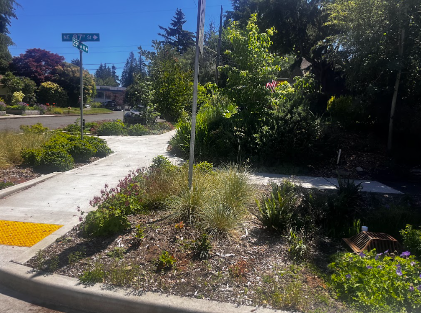 The CID i-5 Underpass.