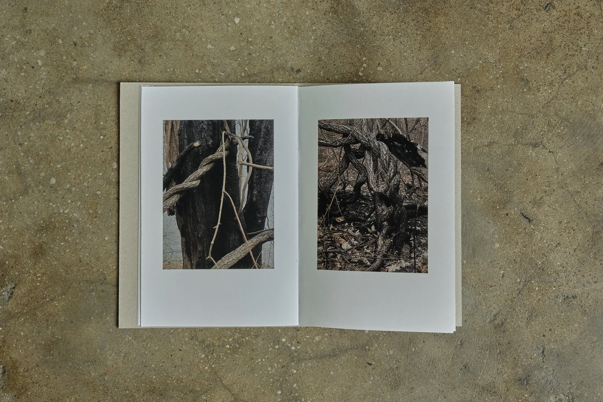 ElevineBerge_ 17.jpg