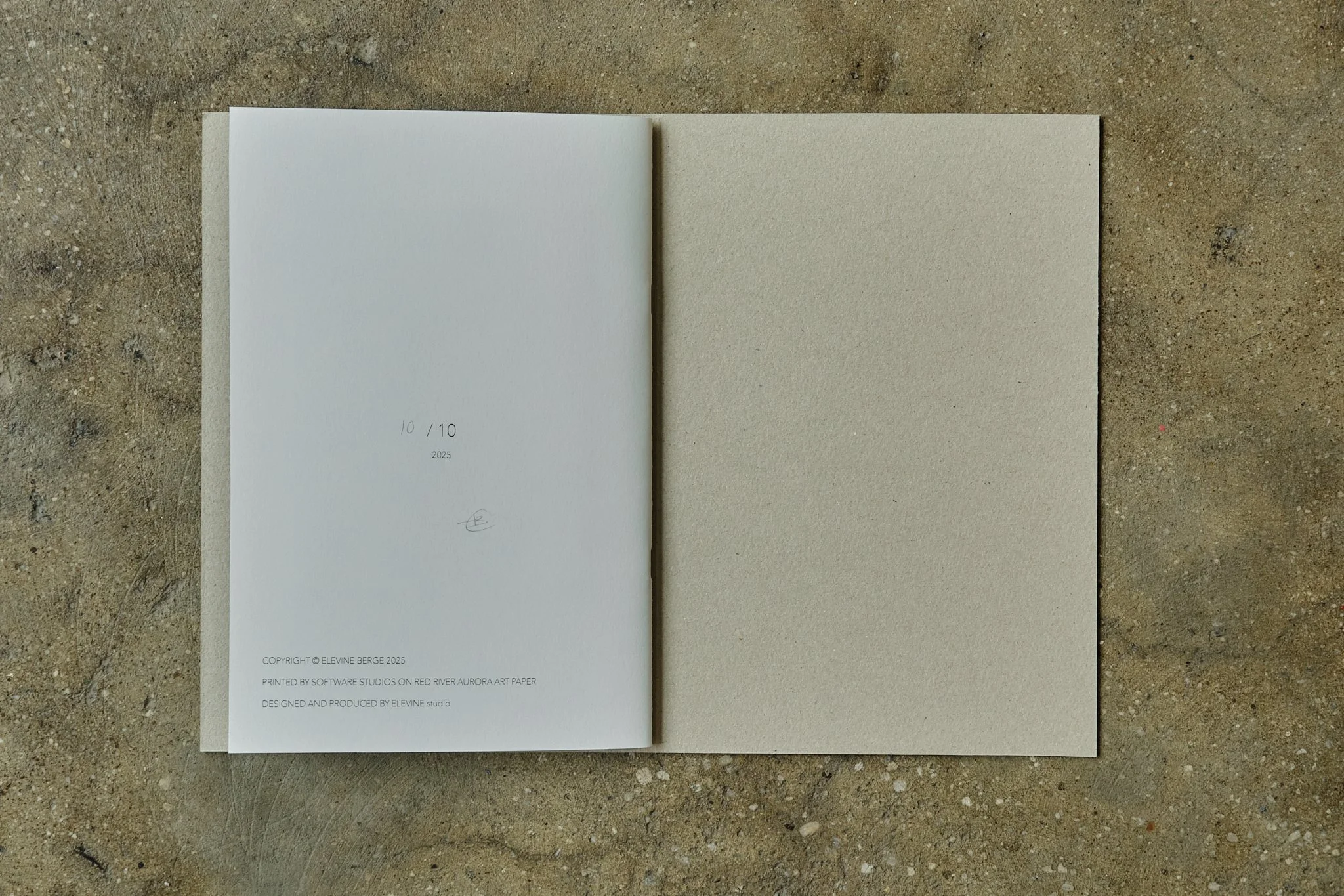 ElevineBerge_ 21.jpg