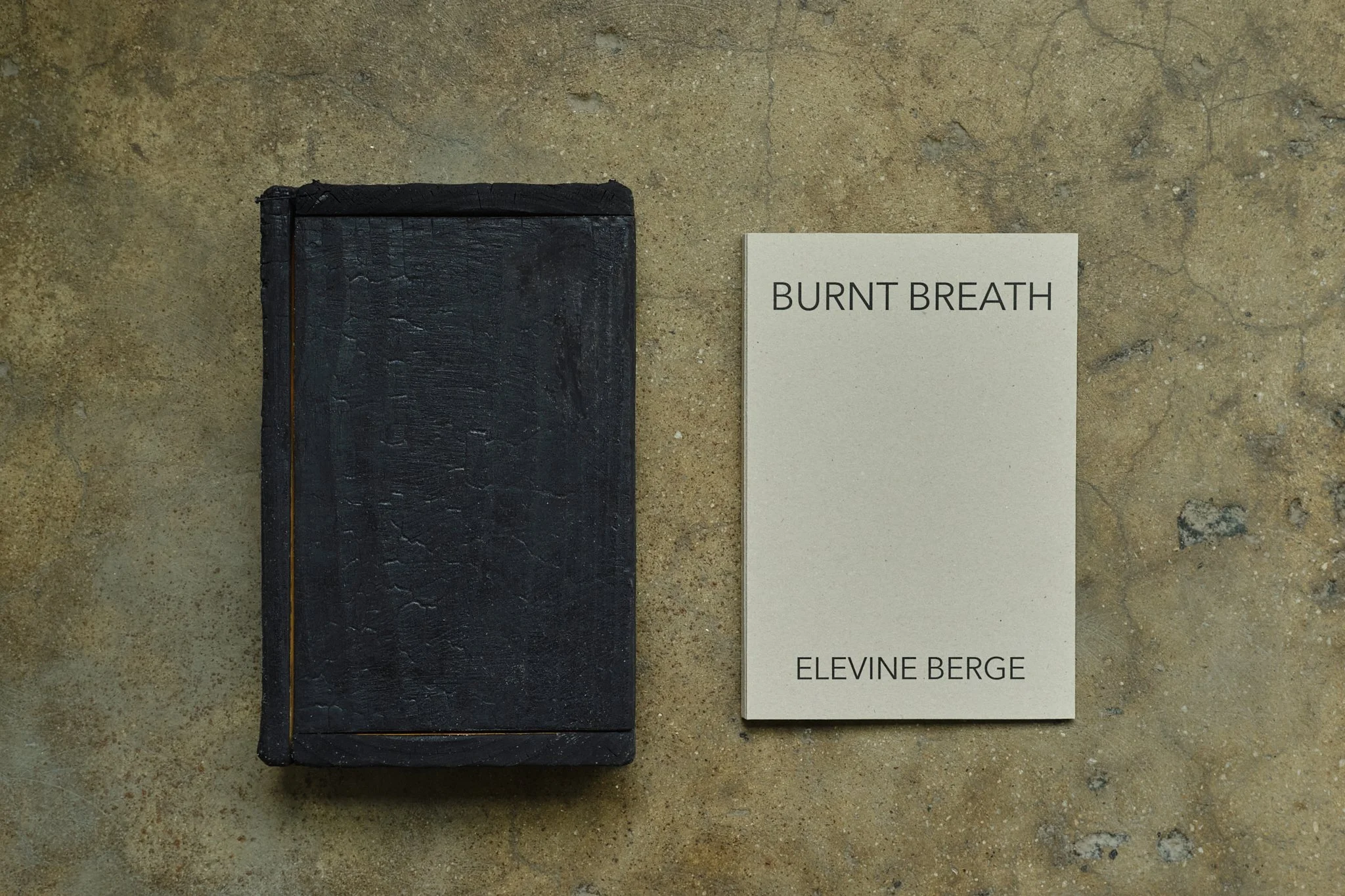 ElevineBerge_ 88.jpg