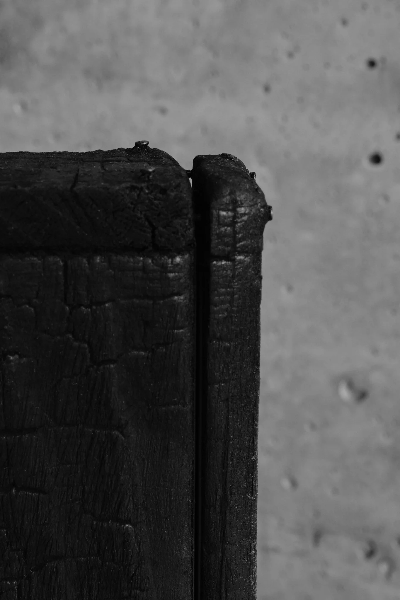 ElevineBerge_ 40.jpg