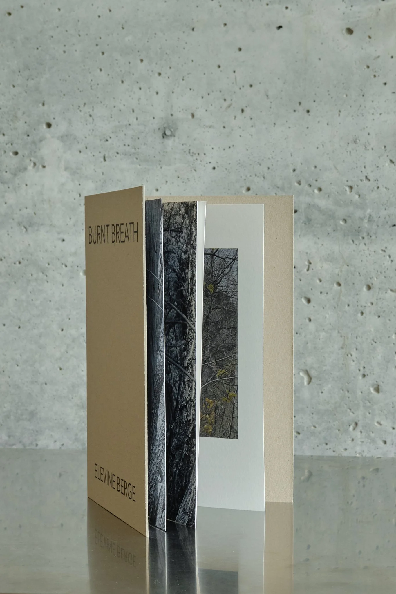 ElevineBerge_ 26.jpg