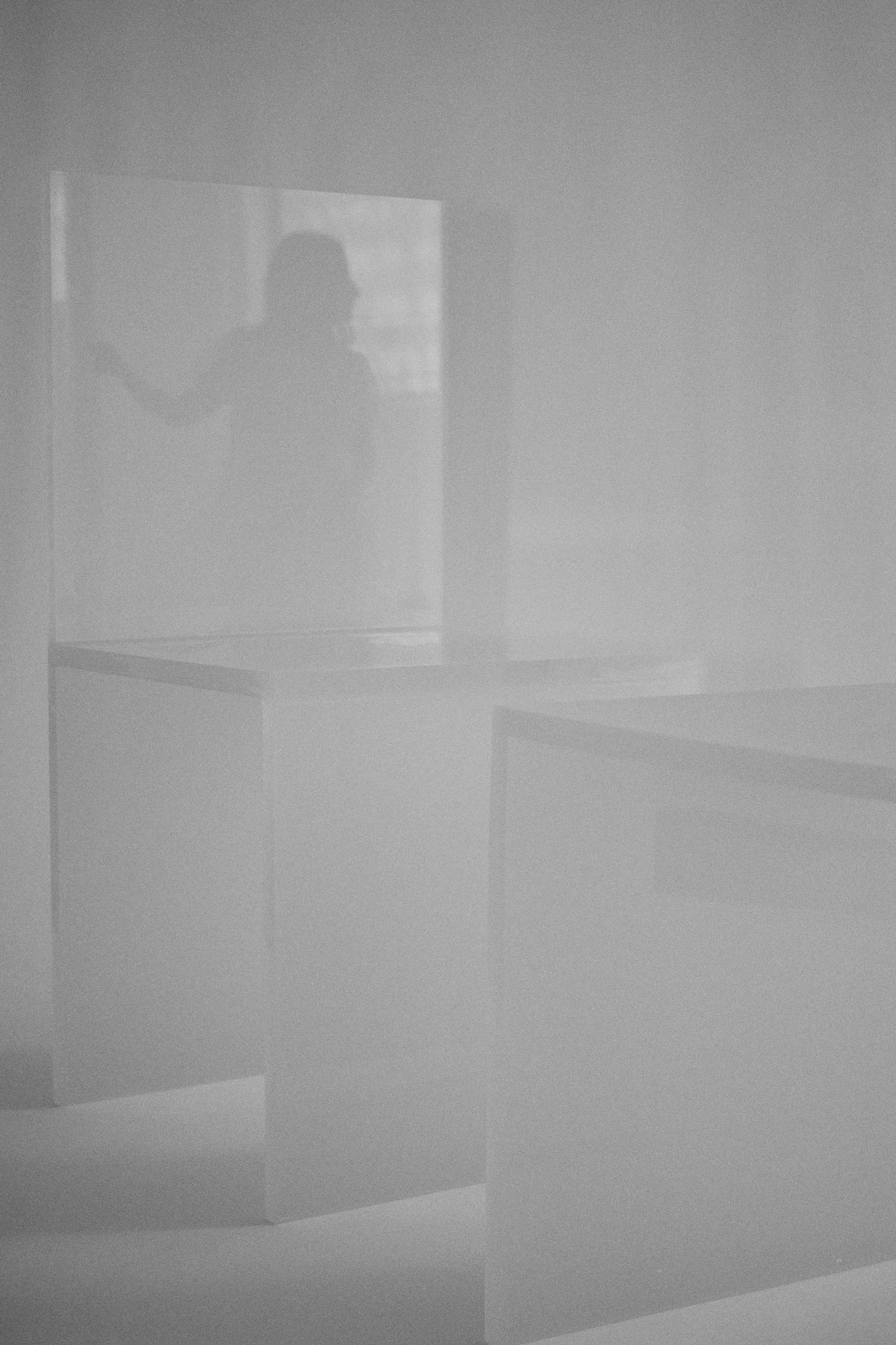 ElevineBerge_ 14.jpg