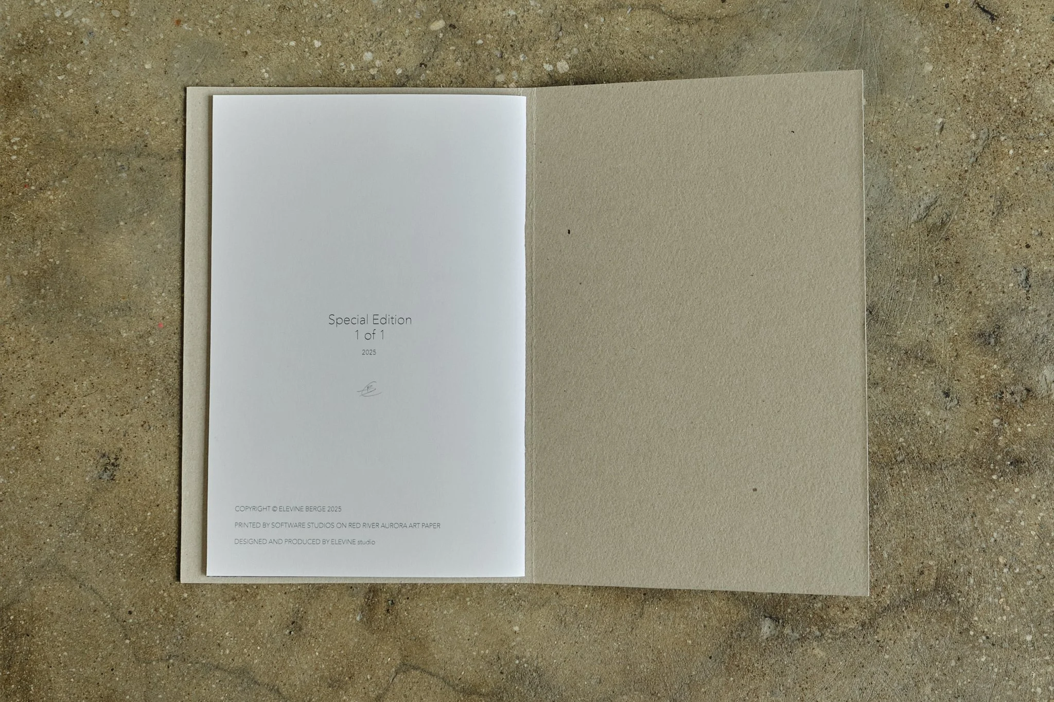 ElevineBerge_ 23.jpg