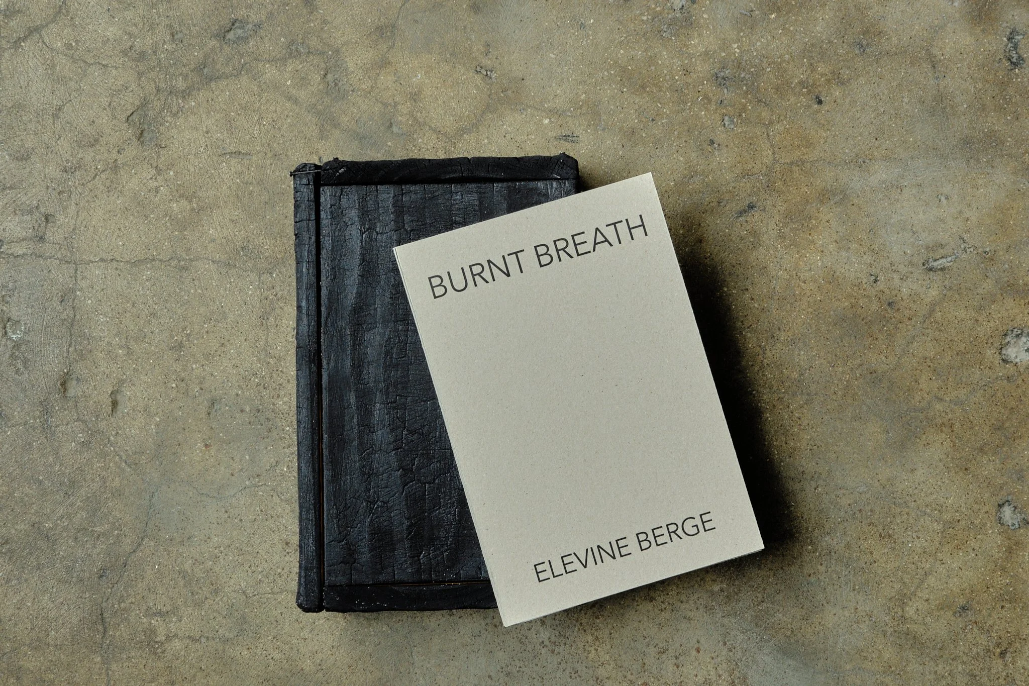 ElevineBerge_ 84.jpg