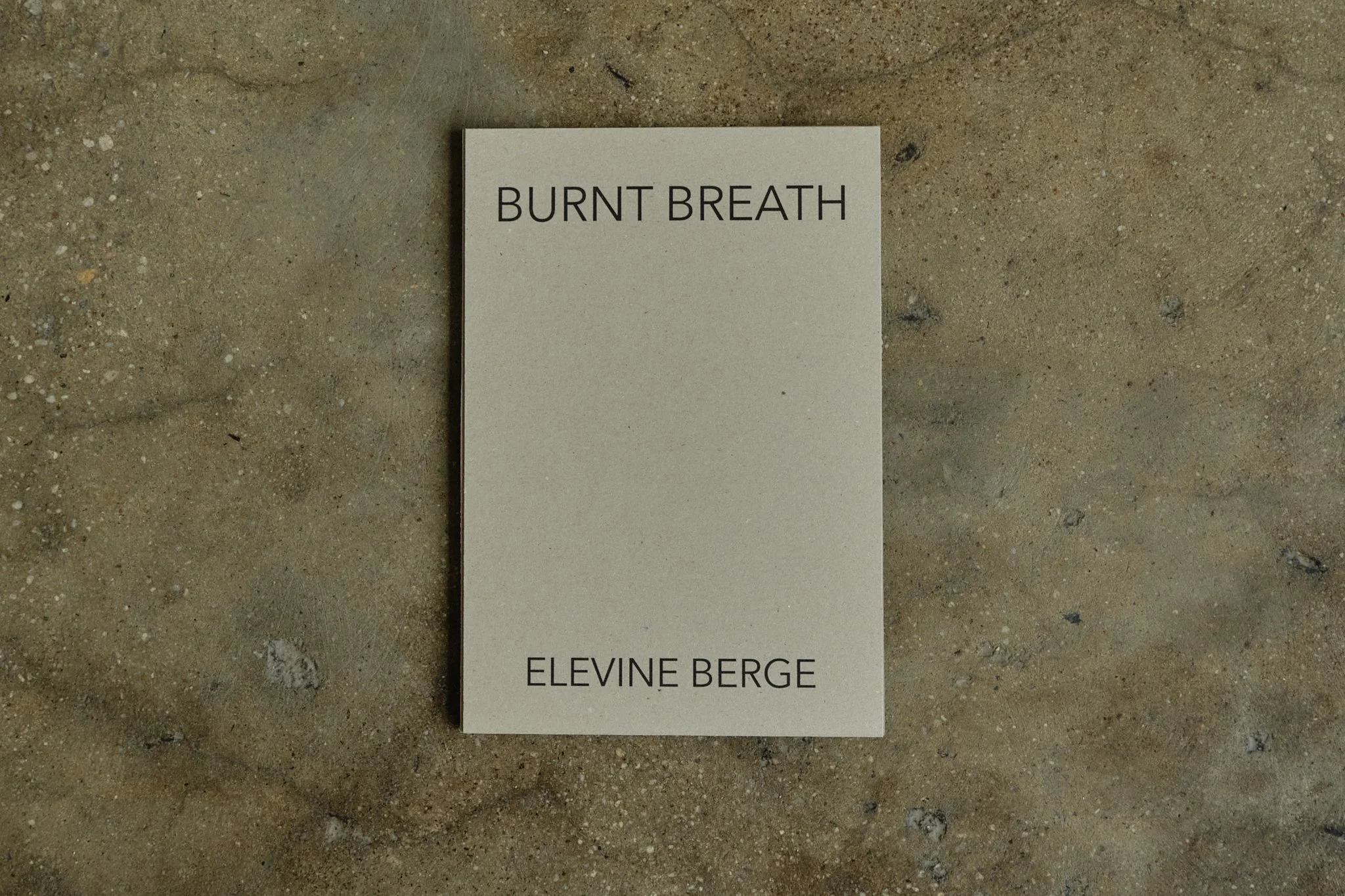 ElevineBerge_ 11.jpg