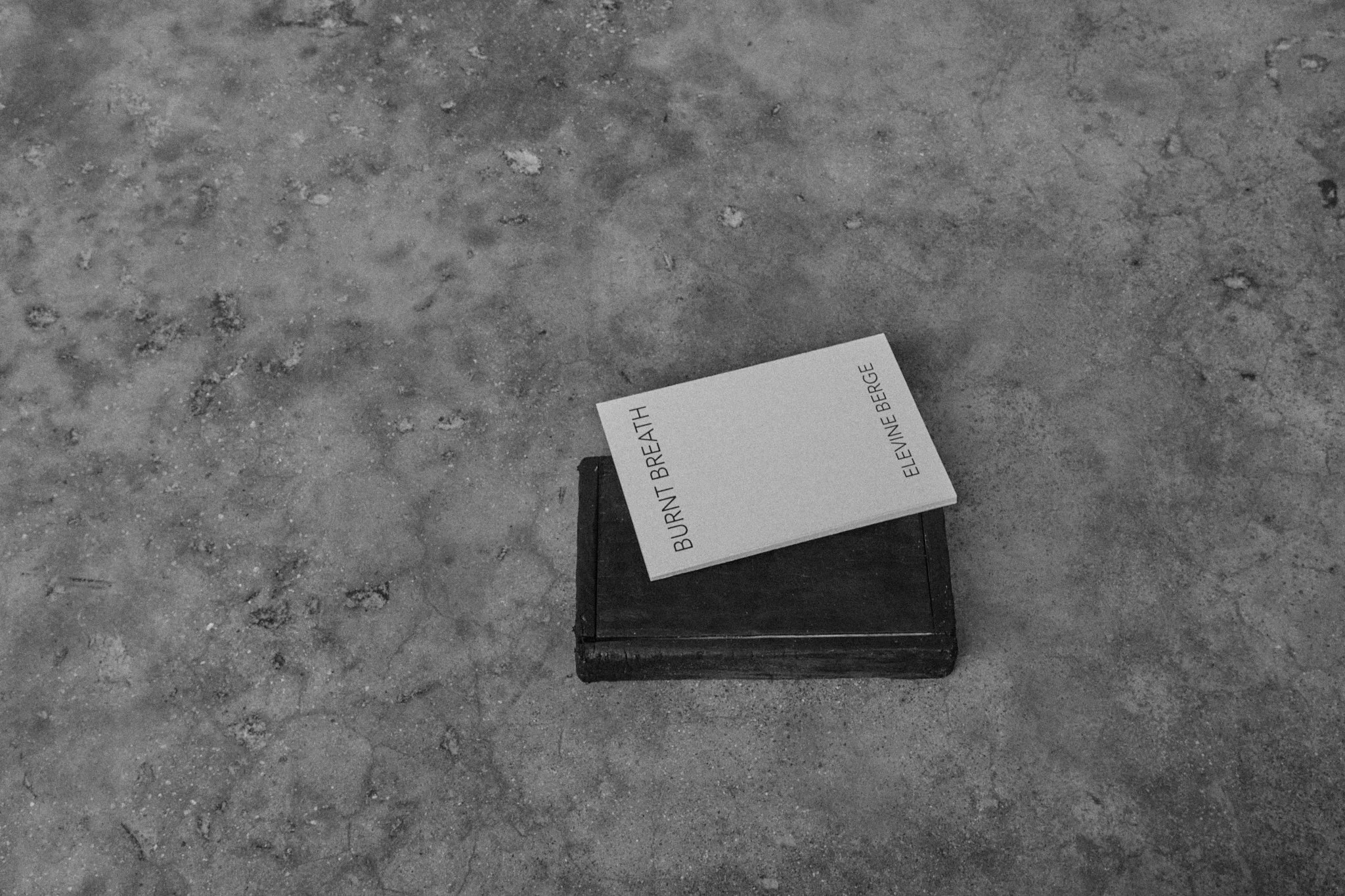 ElevineBerge_ 86.jpg