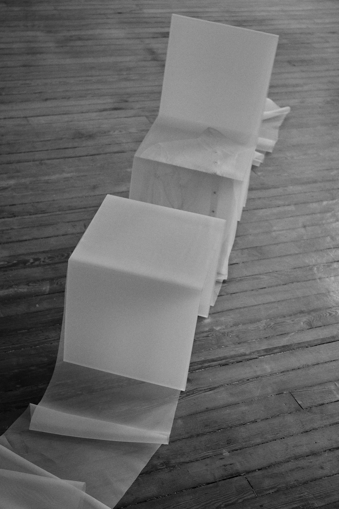 ElevineBerge_ 37.jpg