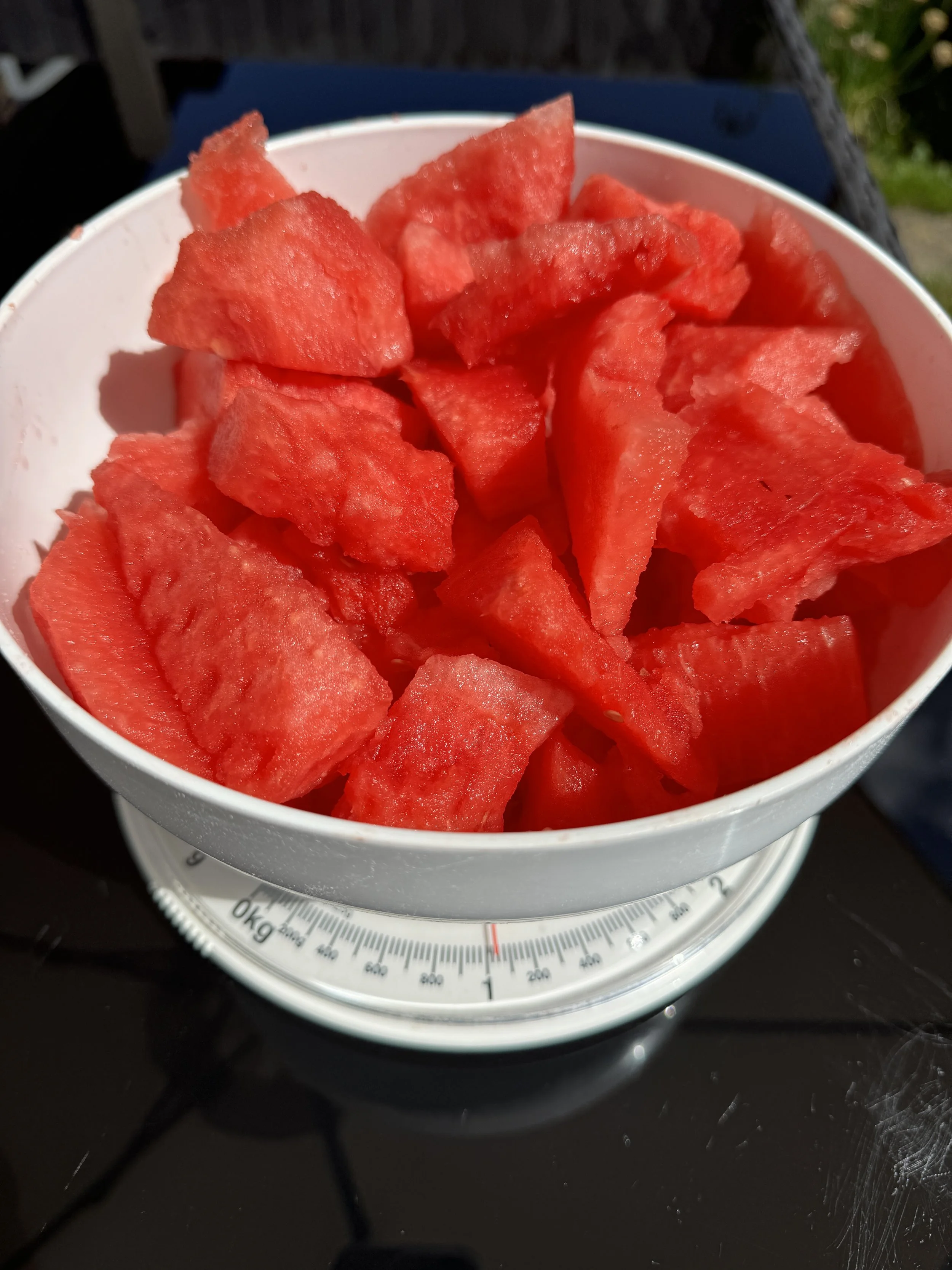 IMG_2061.jpeg