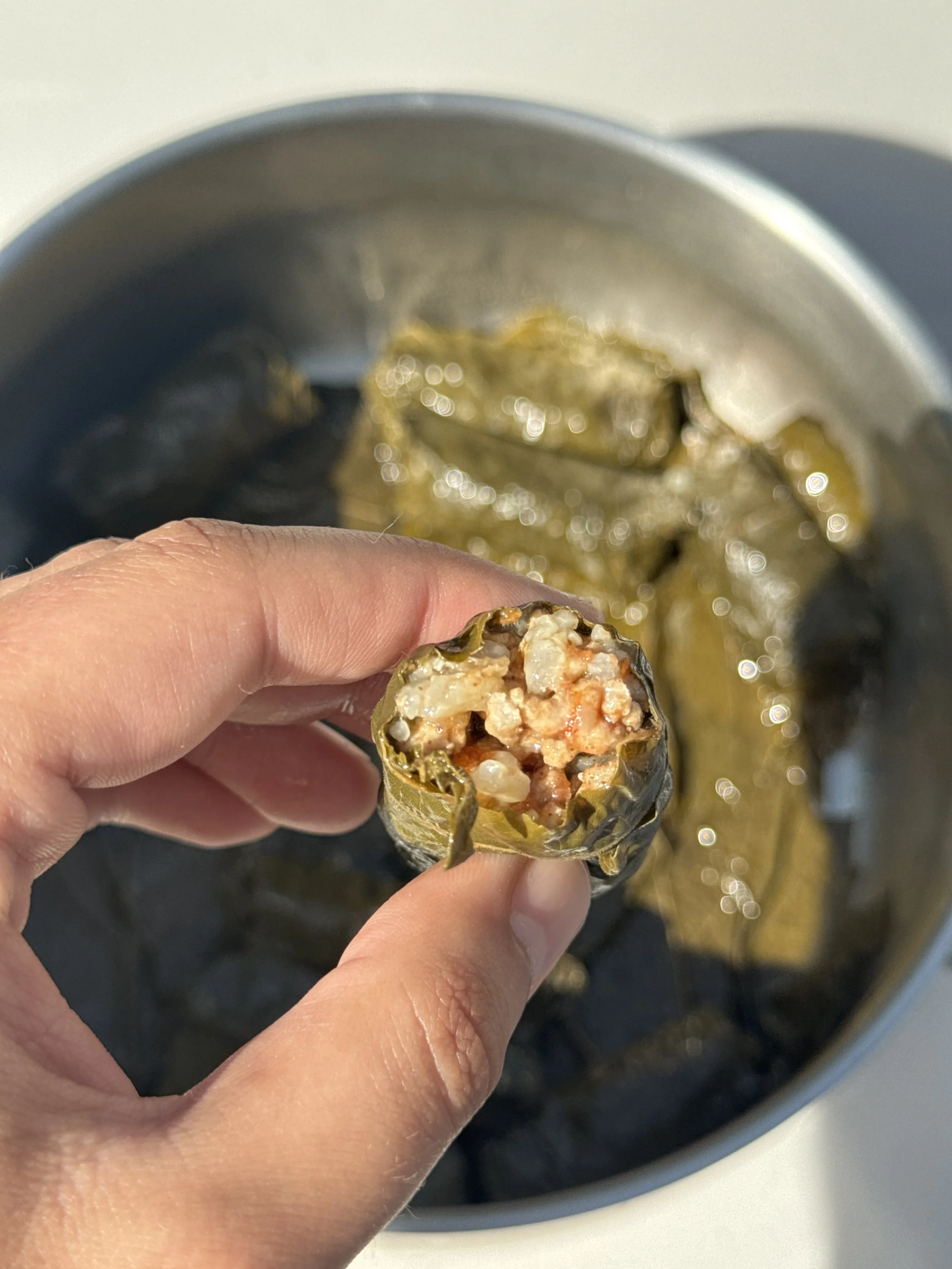 Koupepia recipe, Cypriot dolmadakia recipe with pork mince, tomato, cinnamon and mint – Souvlakination recipes: Authentic traditional Greek and Cypriot food recipes, dolmadakia vs koupepia