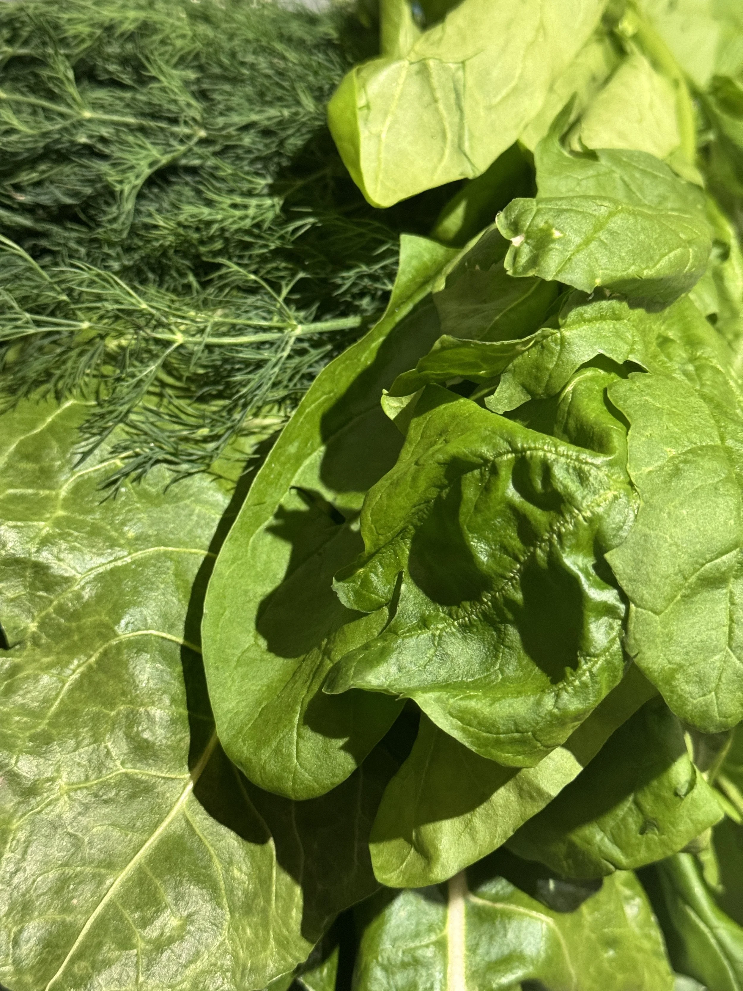 Pappou's greens – horta