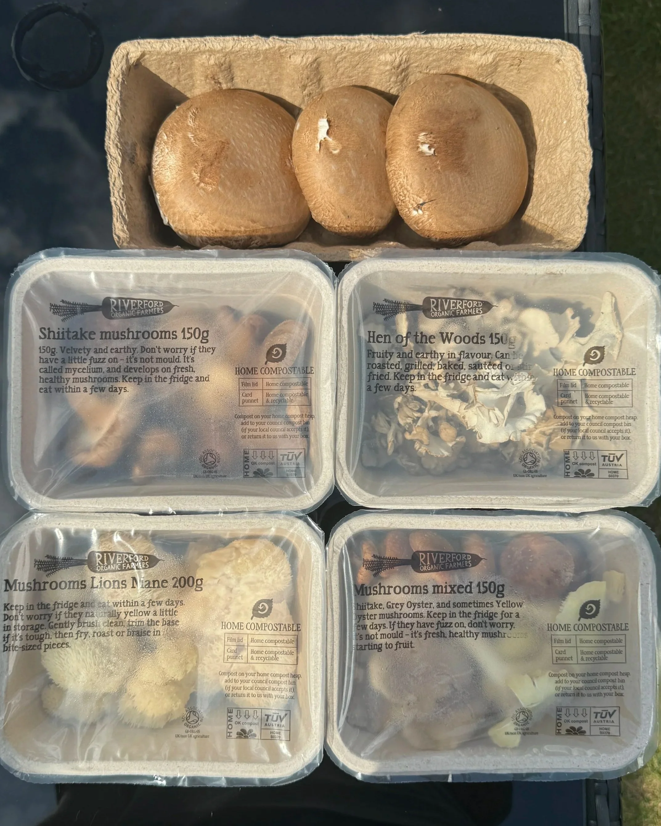 Organic mushrooms from Riverford Manitaropita recipe Souvlakination Greek mushroom pie recipe authentic traditional Greek food recipes how to make filo pastry Souvlakination Recipes