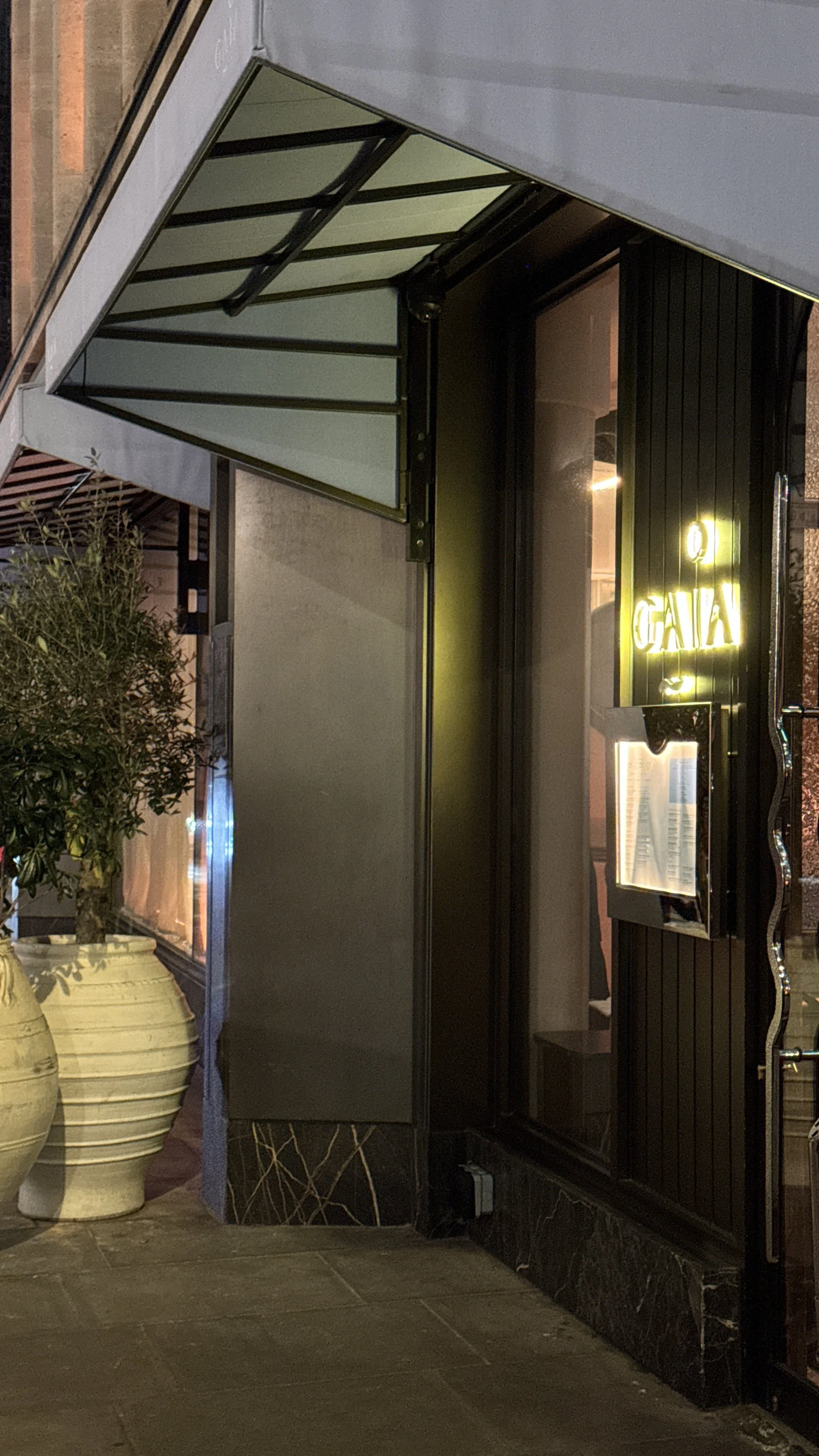 Souvlakination Gaia Mayfair Review Greek restaurants in London Greek food blog