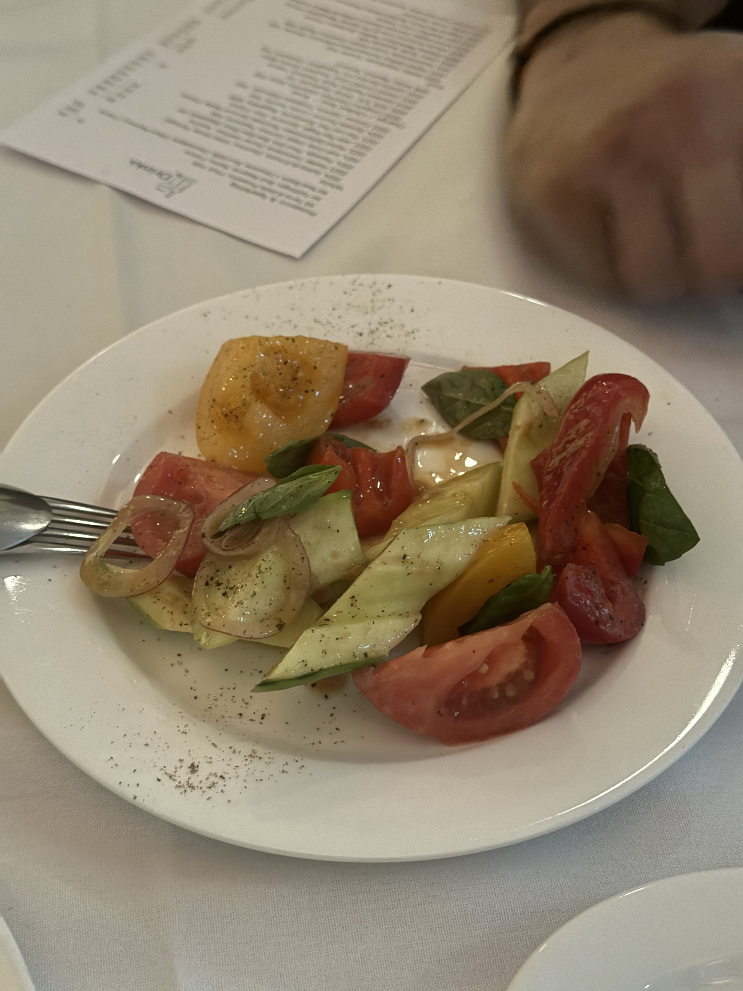 Clarence and V, Sydney Souvlakination Guide to Greek food in Sydney Sydney's best Greek restaurants where to eat Greek food in Sydney