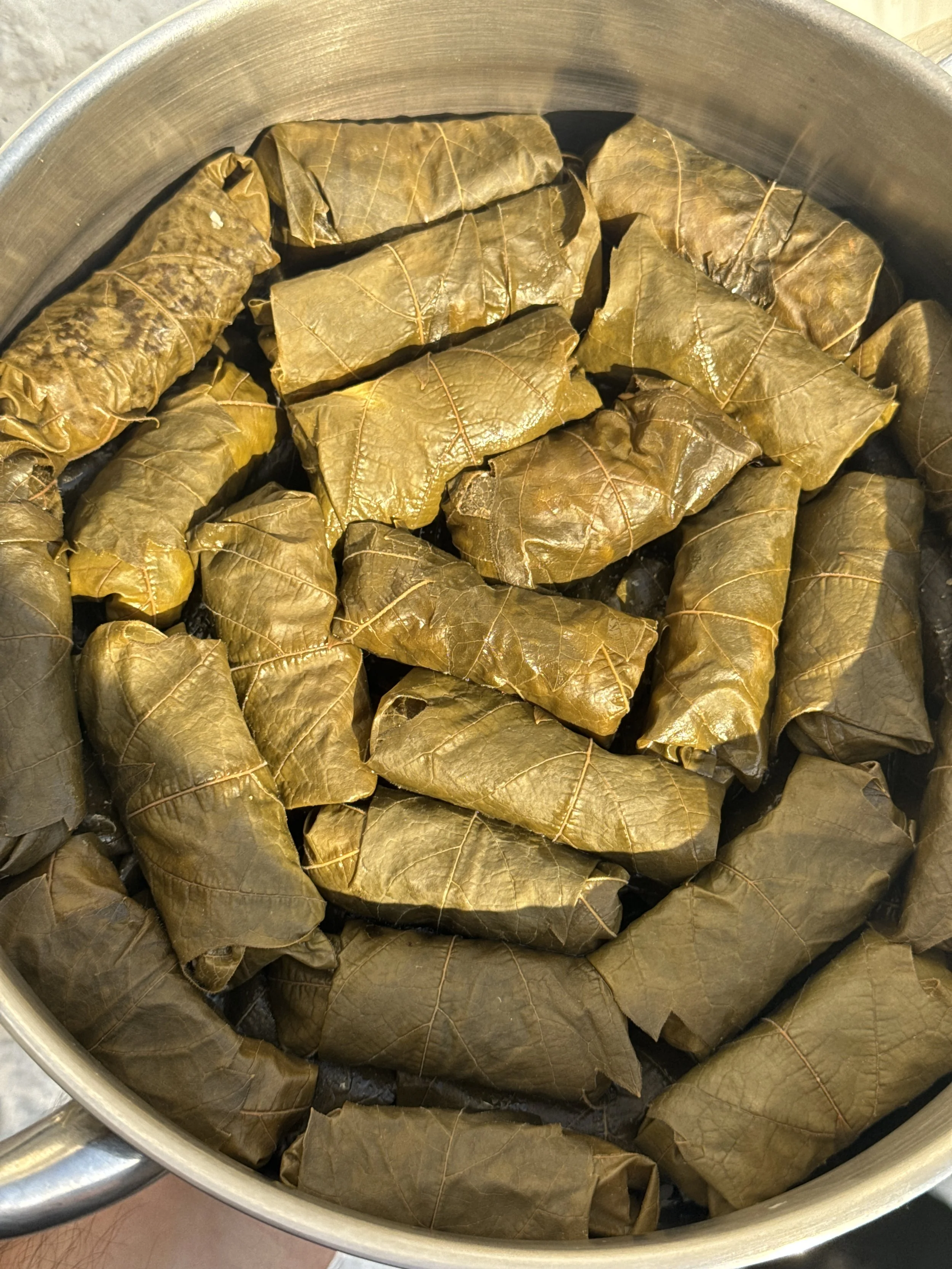 Koupepia recipe, Cypriot dolmadakia recipe with pork mince, tomato, cinnamon and mint – Souvlakination recipes: Authentic traditional Greek and Cypriot food recipes, dolmadakia vs koupepia