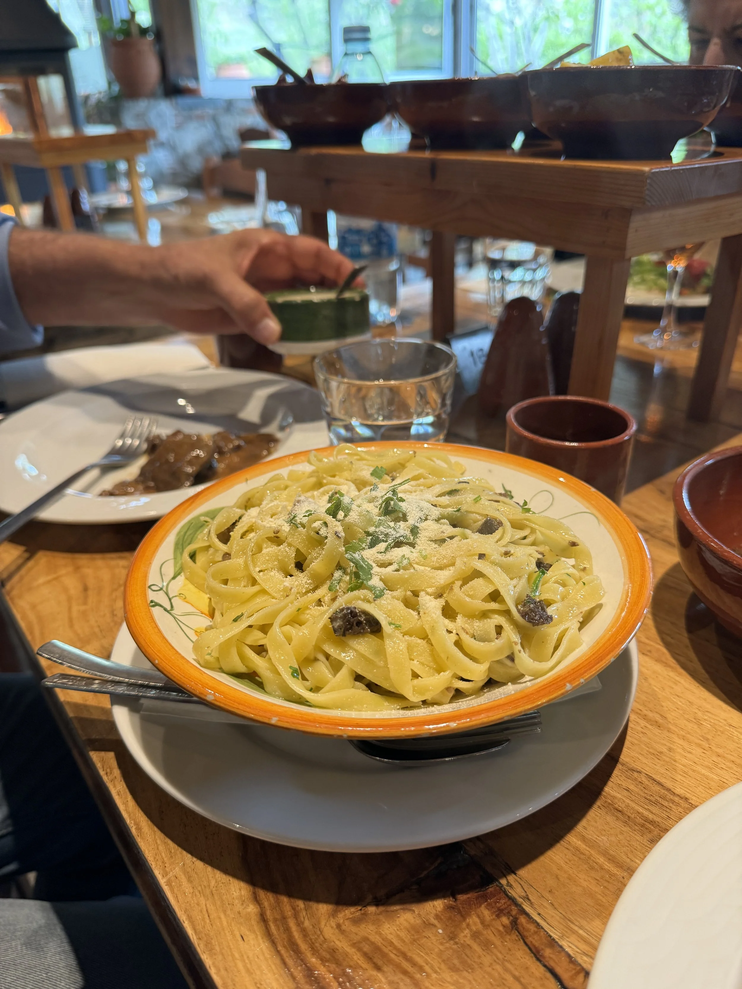 Foraged morchelles Symposio Taverna Pelendri Cyprus traditional Cypriot taverna Souvlakination where to eat in Cyprus where to eat in Pelendri Troodos restaurants