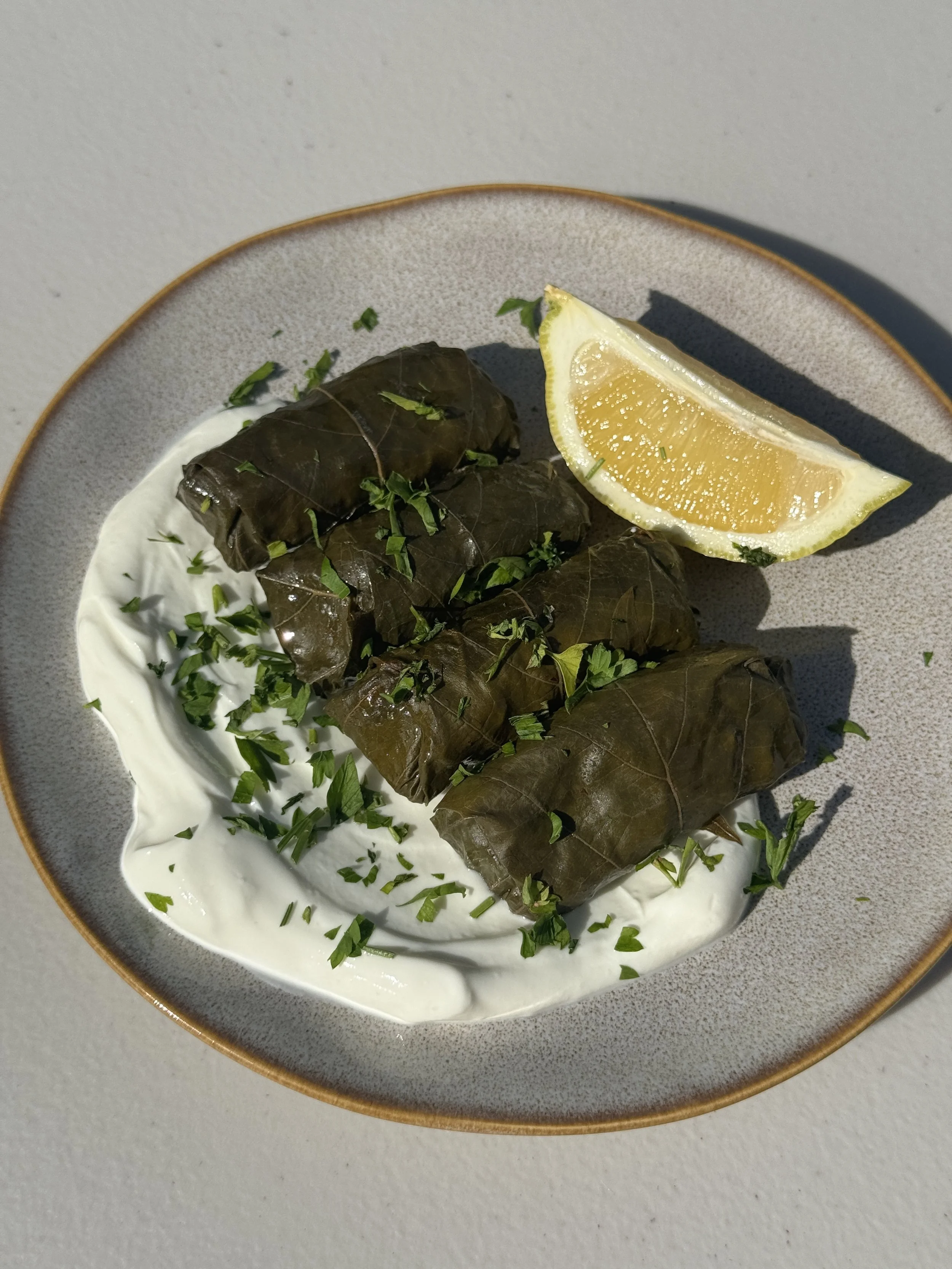 Koupepia recipe, Cypriot dolmadakia recipe with pork mince, tomato, cinnamon and mint – Souvlakination recipes: Authentic traditional Greek and Cypriot food recipes, dolmadakia vs koupepia