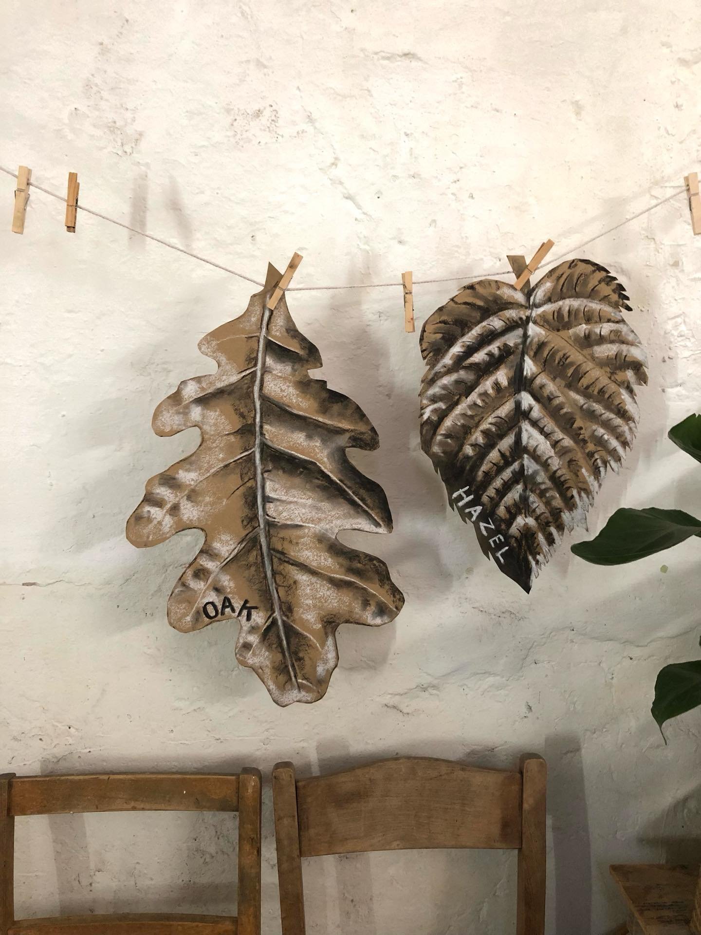 Prep. for Wild Wonky Weaving ~ Wreath Making this Sunday ✨ really looking forward to it 🌟 

#trees #leaves #winter