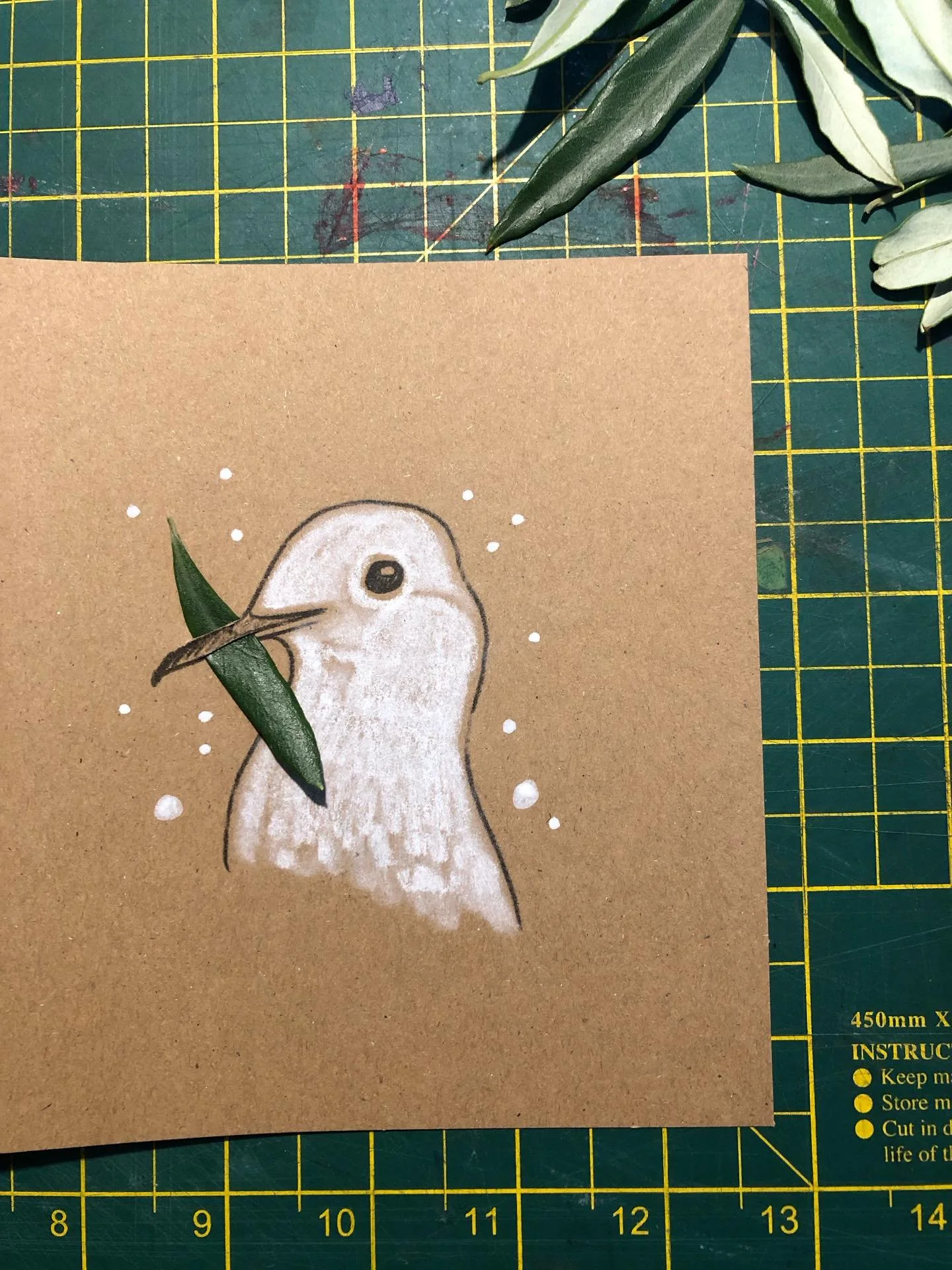 Wishing you a peaceful and restful Christmas and a healthy and bright New Year. Let the good times roll✌️❤️🙏