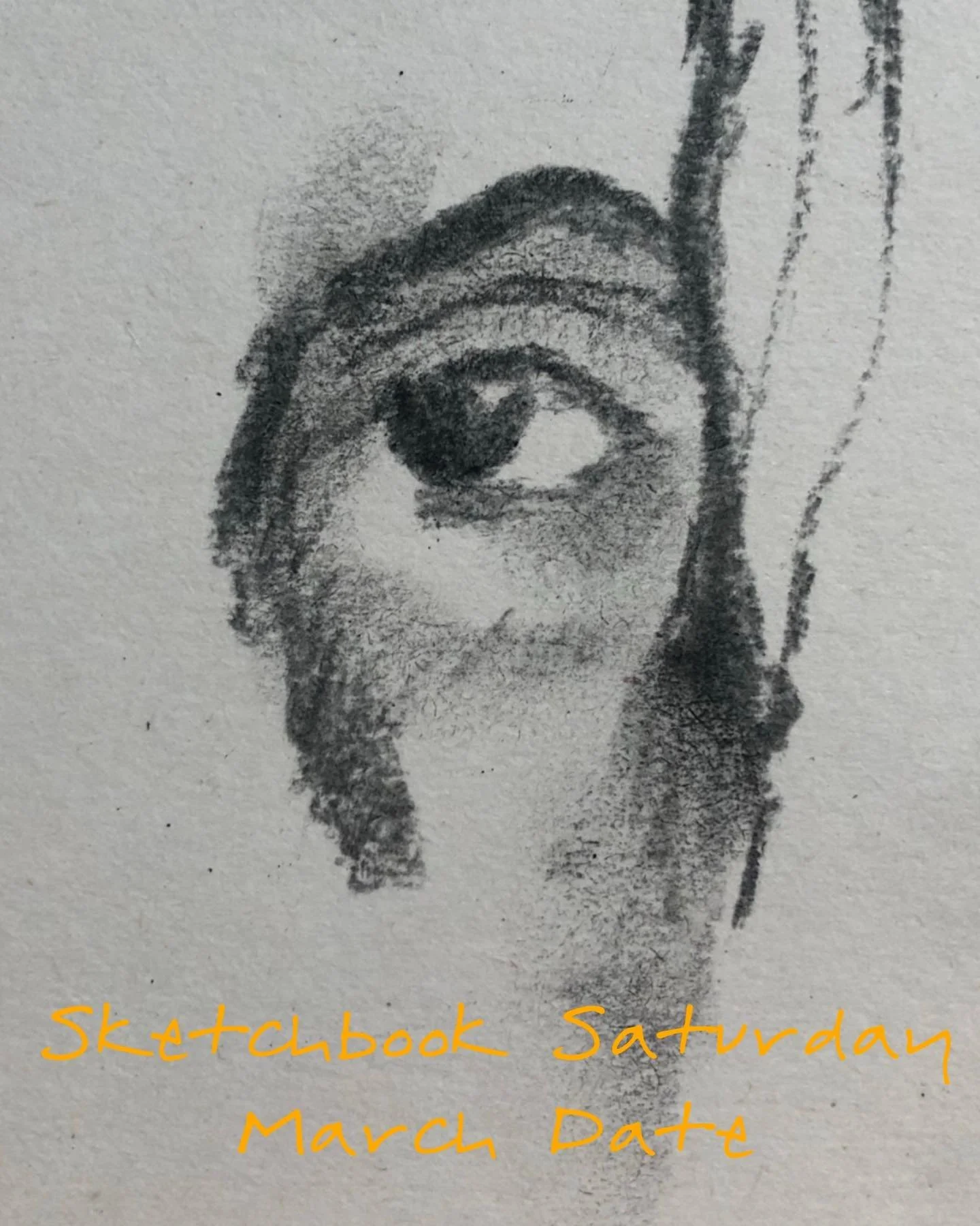 Sketchbook Saturday MARCH date&hellip;
* just one this month 

🔶 Saturday 14th March 10am - 12pm

🎏Observational drawing / painting of fabrics and natural forms🪲

Link in bio for detail and to book a spot 👁️&zwj;🗨️

#creative #therapeutic #makea