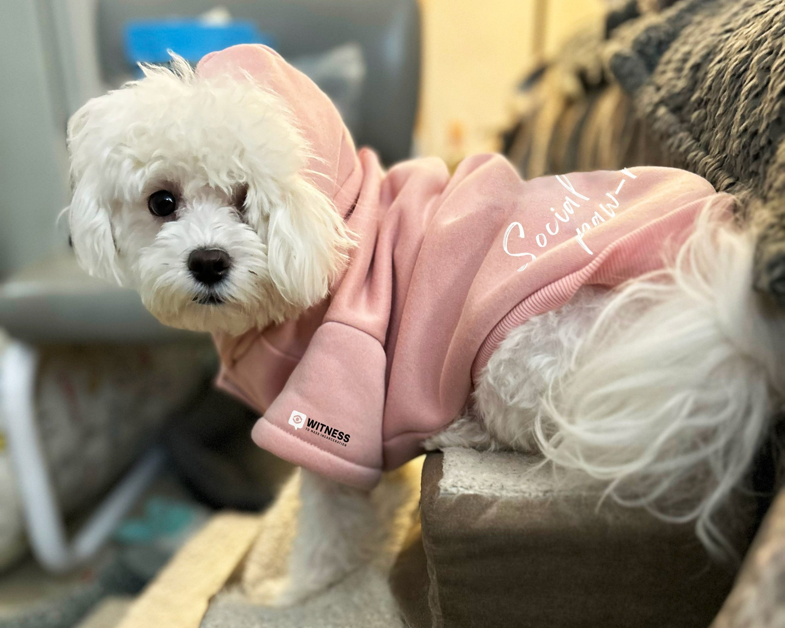 BooBoo+Hoodie+2.jpg