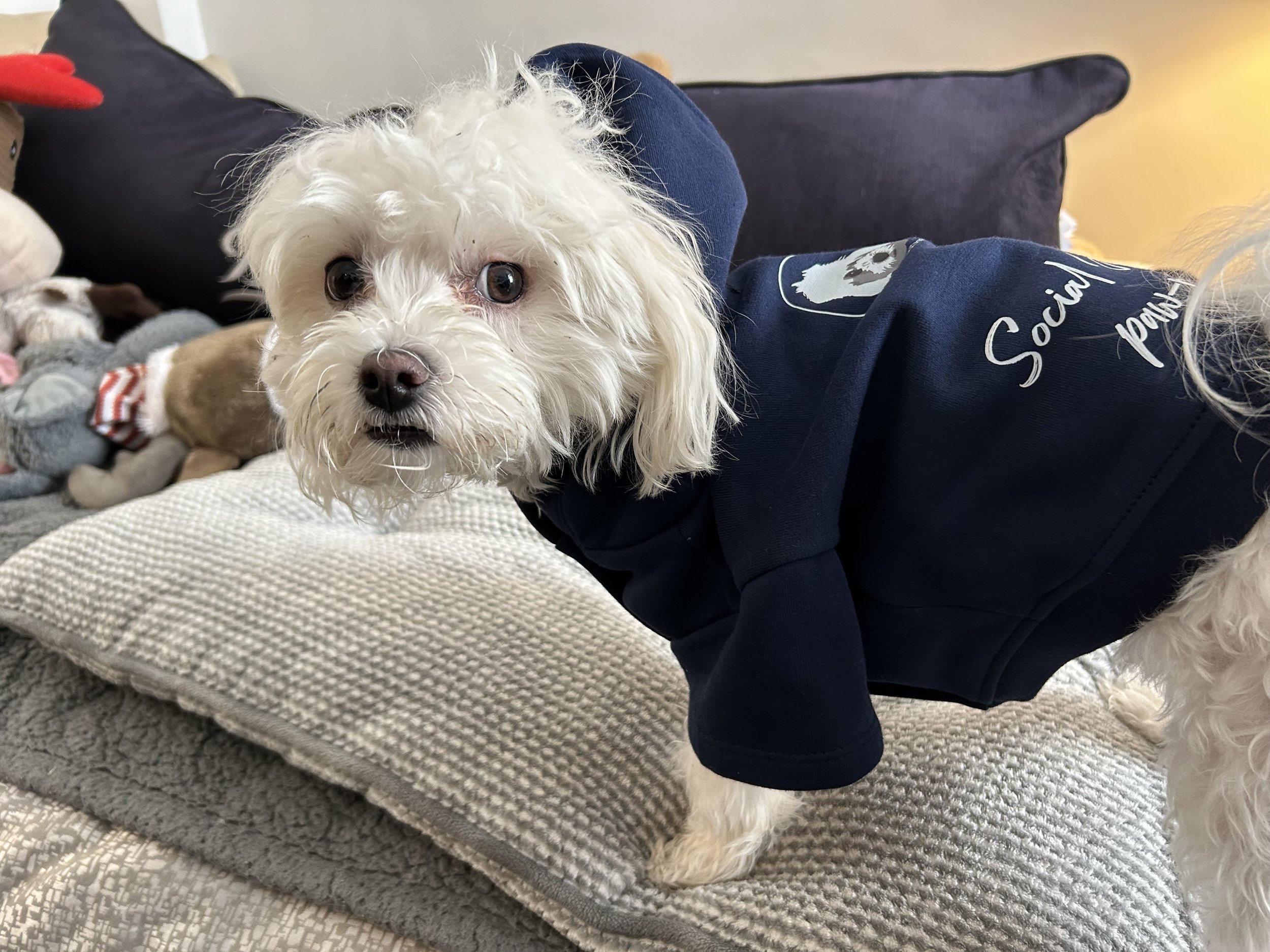 navy+side.jpeg