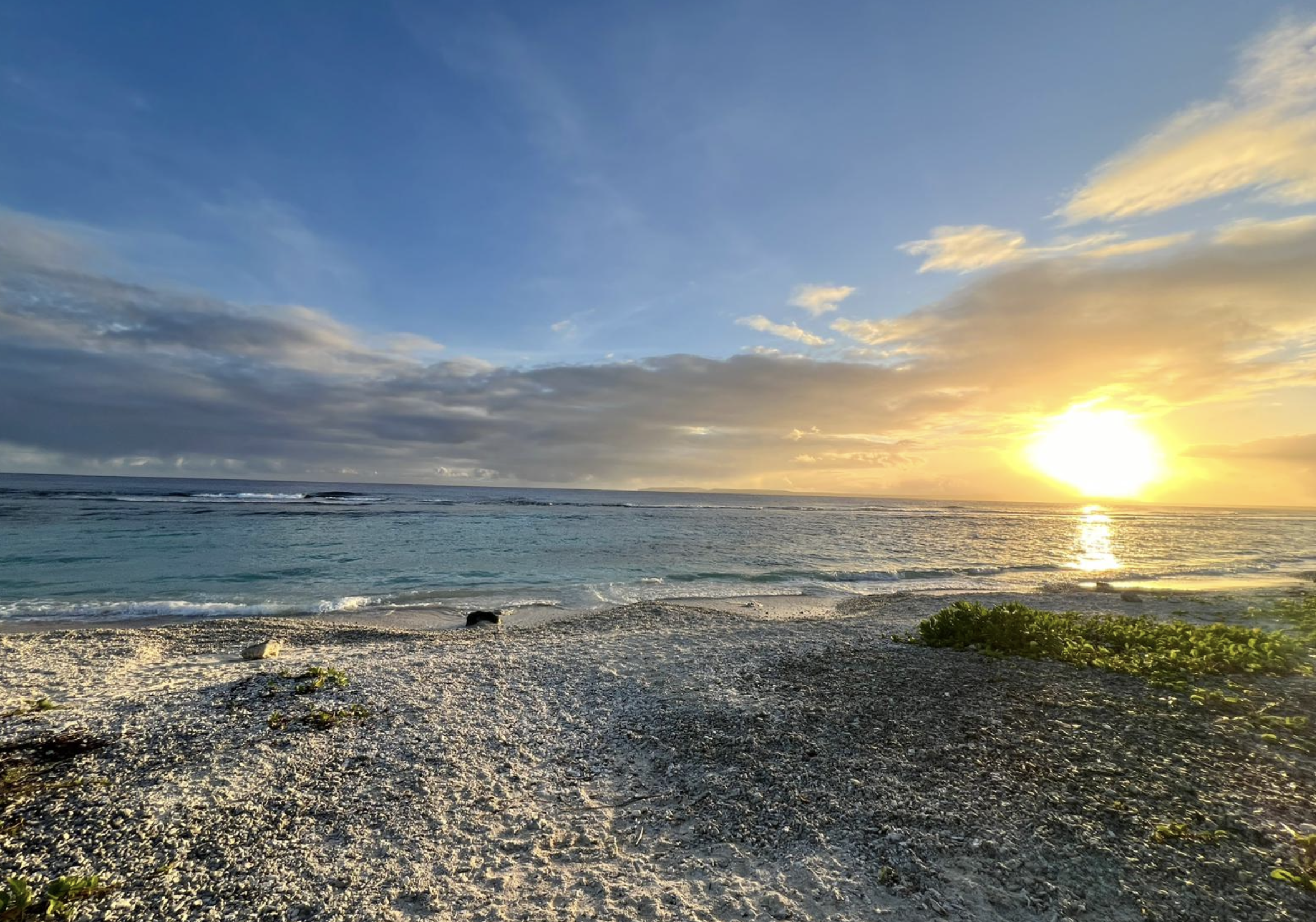 Screenshot 2025-12-11 at 6.38.31 AM.png