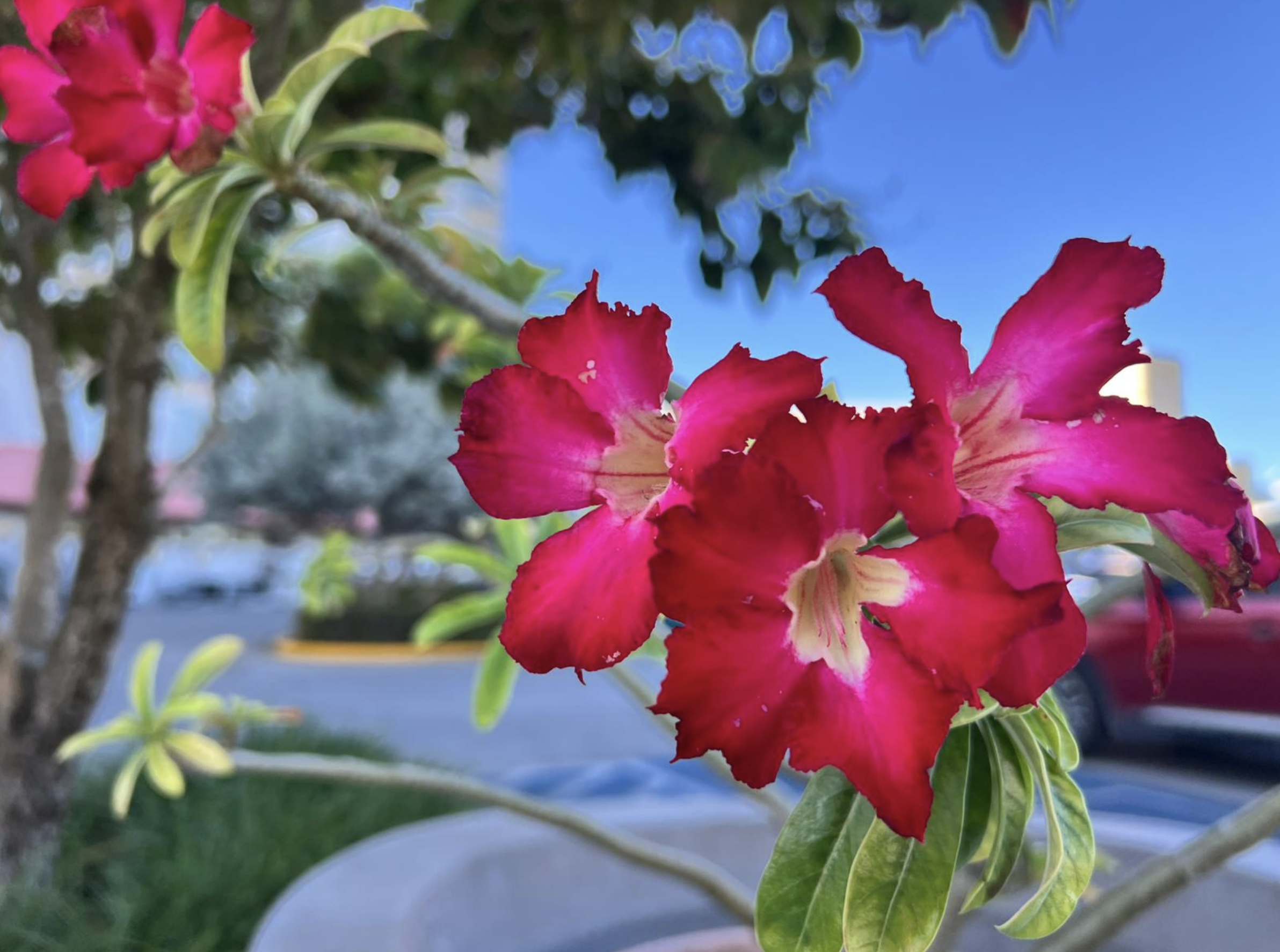 Screenshot 2025-12-11 at 6.38.14 AM.png