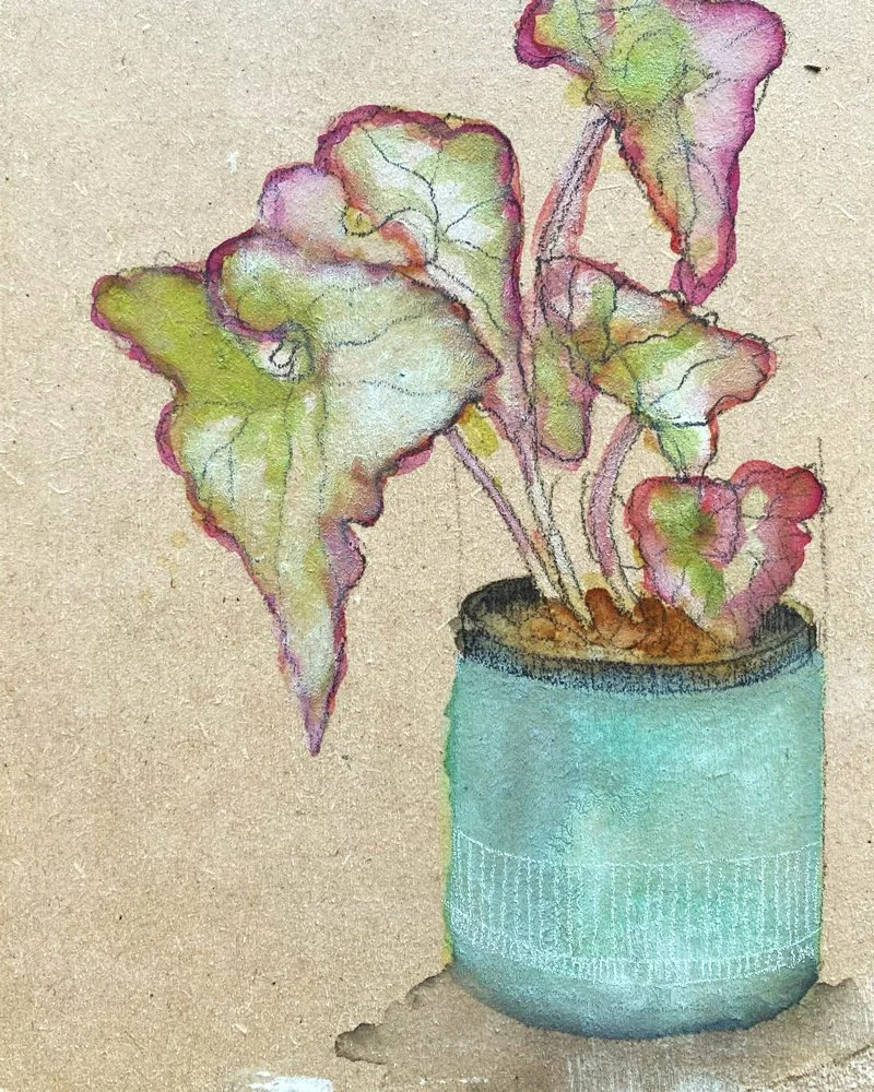 Still Life + Interiors