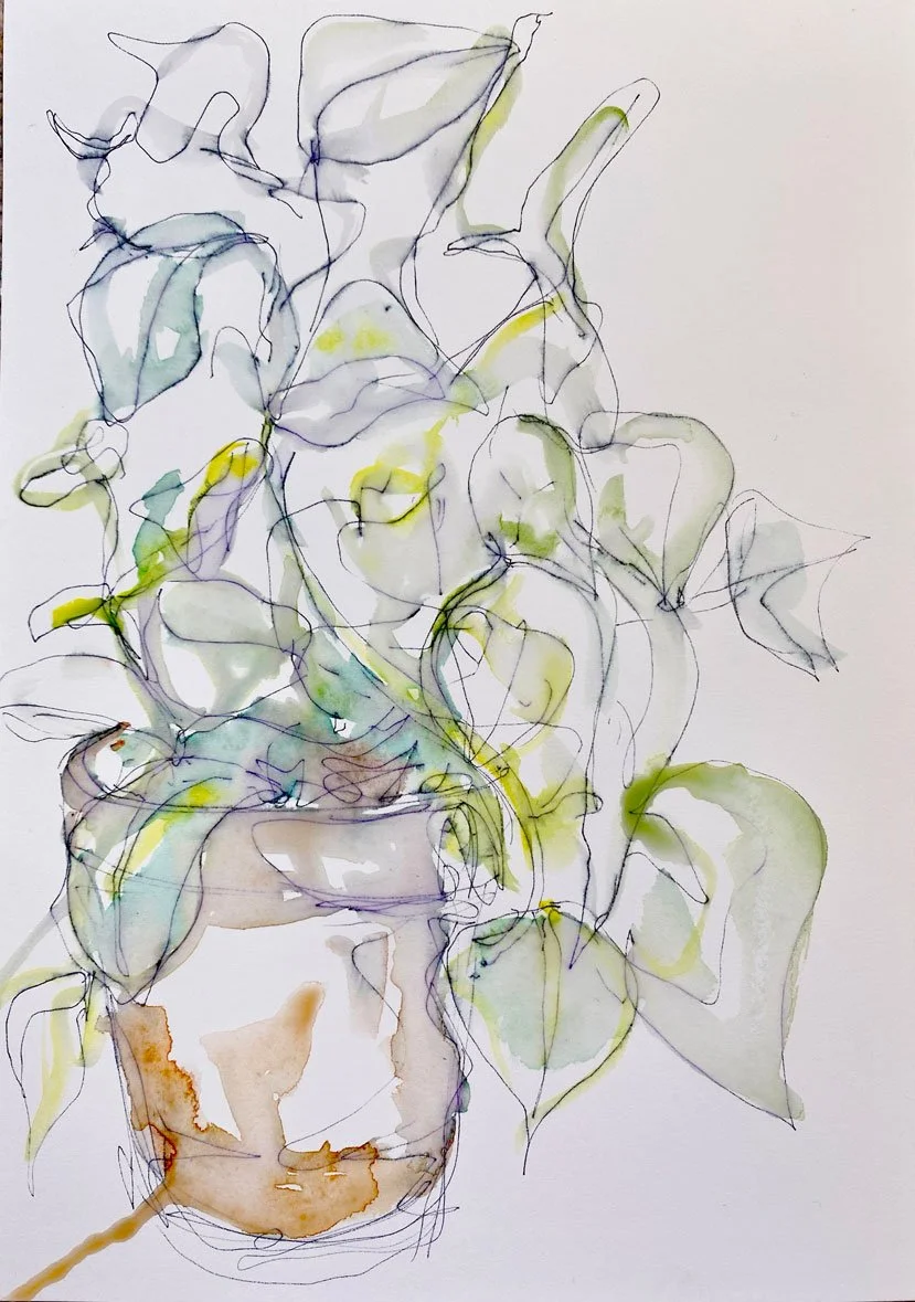 Plant in terracotta pot II (2022)
Medium: watercolour and ink on paper
Size: 14.8cm x 21cm (unframed)