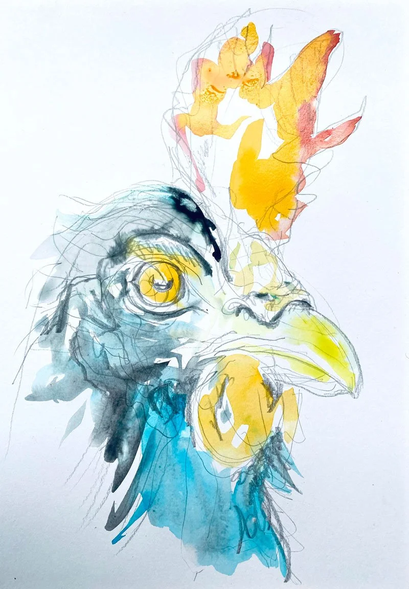 The Rooster (2018)
Medium: watercolour and pencil on paper
Size: 21cm x 29.7cm (unframed)