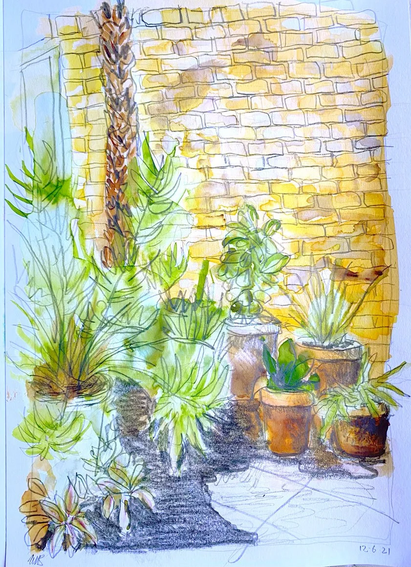 Garden corner with terracotta pots II (2021)
Medium: Mixed media (watercolour and pencil) on paper
Size: 21cm x 29.7cm (unframed)