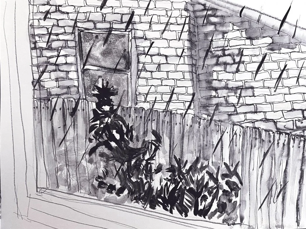 Rosemont Avenue on a rainy day (2022)
Medium: Charcoal on paper
Size: 21cm x 29.7cm (unframed)
Drawn on a rainy Sunday afternoon while looking out the lounge room window. 